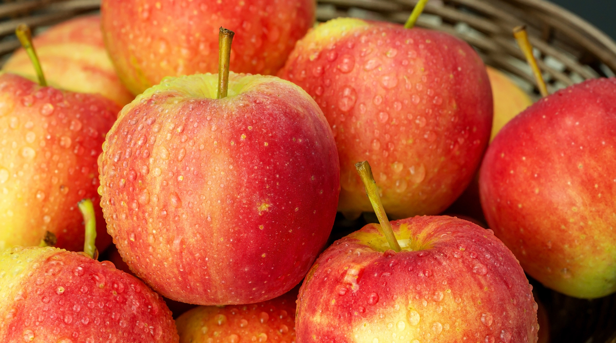 香甜酥脆，营养丰富！探索红富士苹果的美味与健康