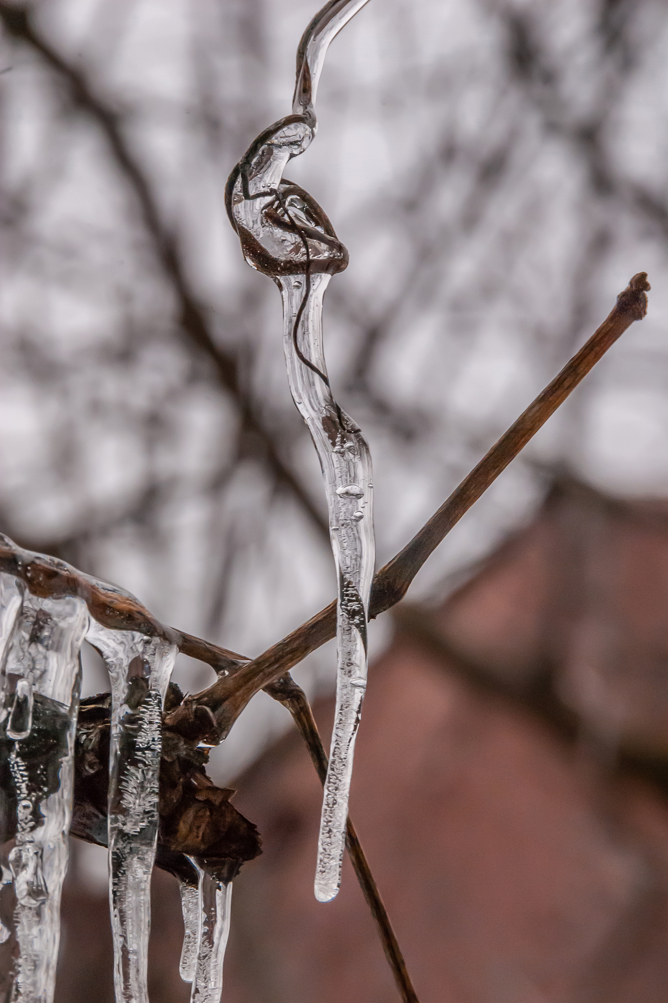 凉不丝儿是什么意思_词语凉不丝儿的意思