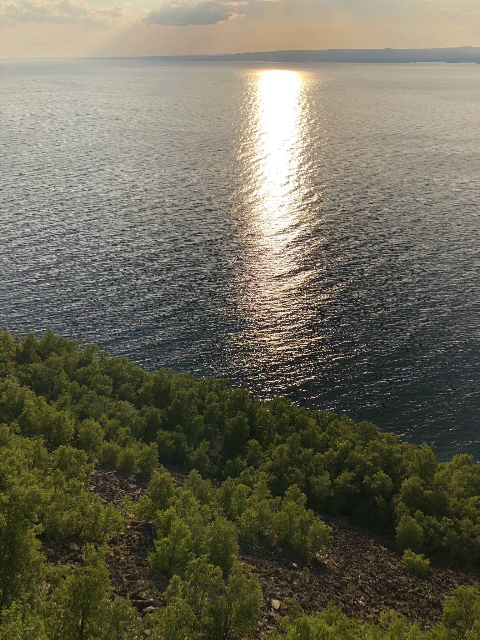 瓦尔登湖的清澈纯净：从多个角度探秘