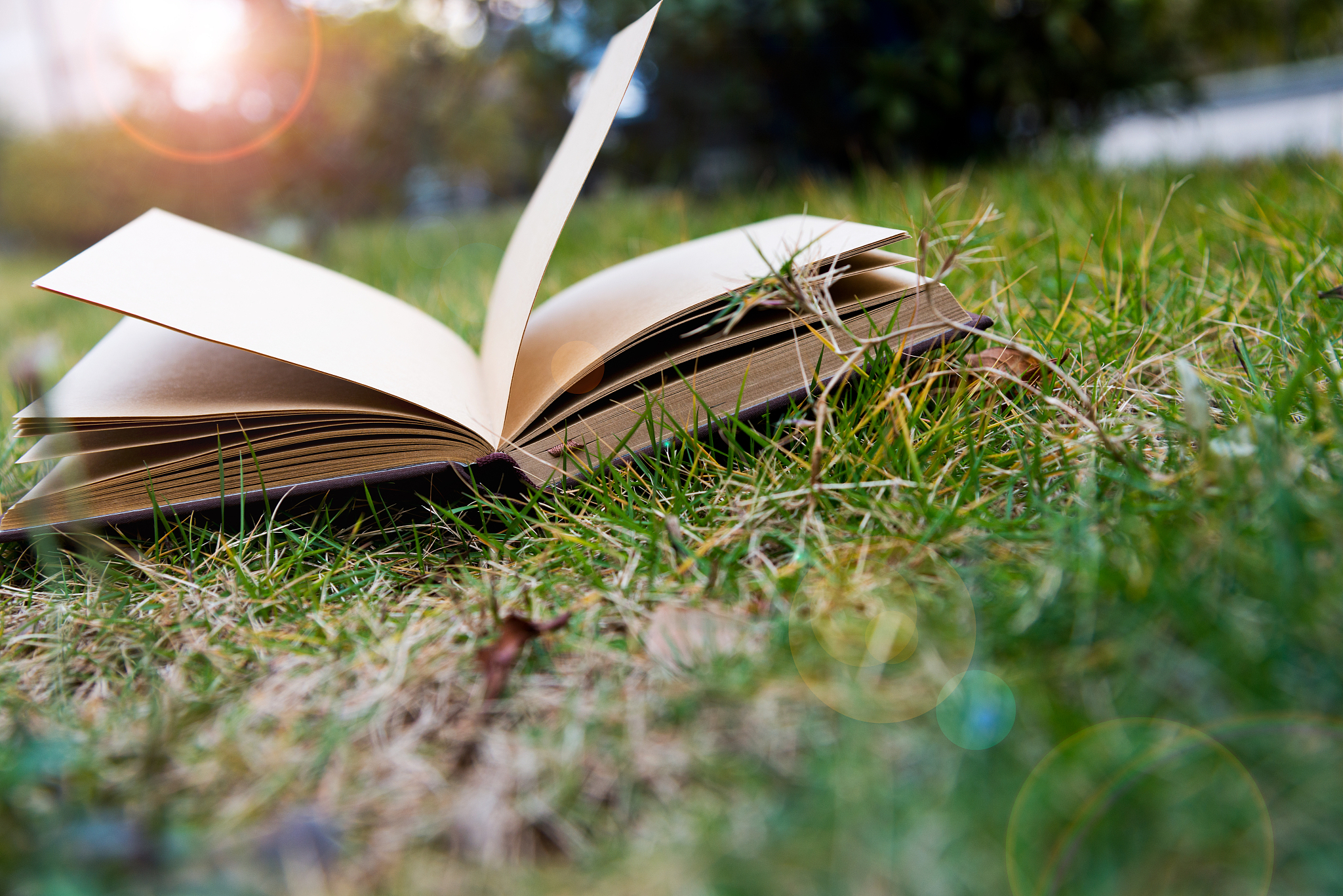 读书明心见性400字作文