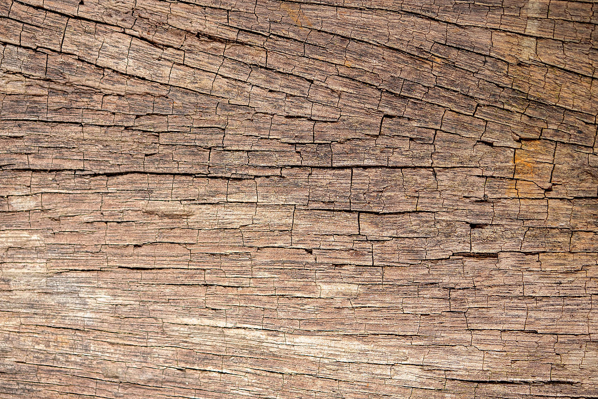 木材购销合同范本 - 下载免费模板