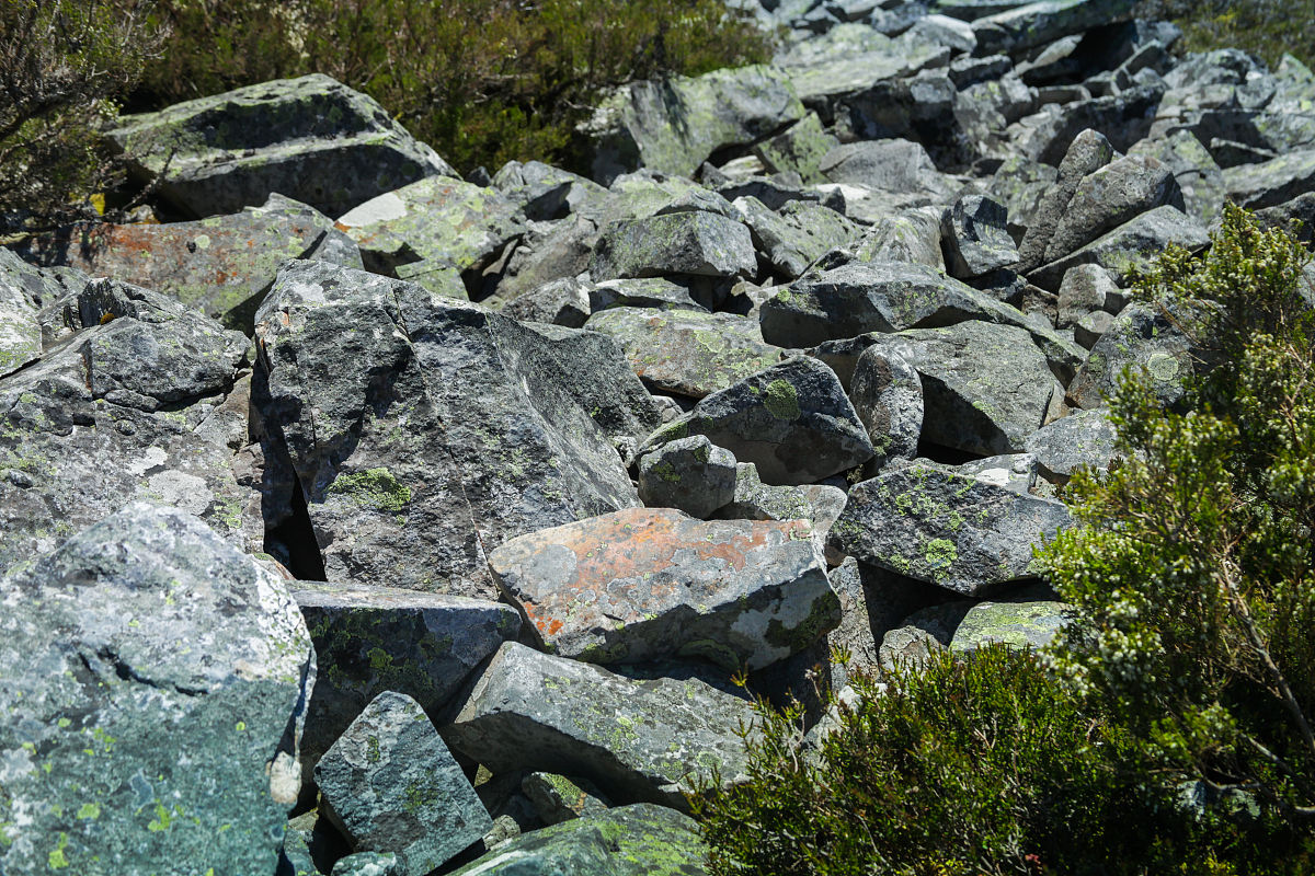 熔结凝灰岩是区内分布较广的一种岩石类型广泛分布于眉山乡一带南园组第二、三段中。岩石由浆屑1～10、晶屑10～40、塑性玻屑及火山灰组成。具熔结结构其最重要特征是塑性组分平行定向排列构成似流纹构造其中浆屑呈撕裂状、火焰状、透镜状、饼状等塑性玻屑呈蚯蚓状、丝纹状、长条状等塑性玻屑及浆屑多已脱玻化重结晶部分地区含少量刚性岩屑。由于岩石中常含数量不等的晶屑、岩屑、角砾、集块等按含量多寡进一步分为晶屑、岩屑