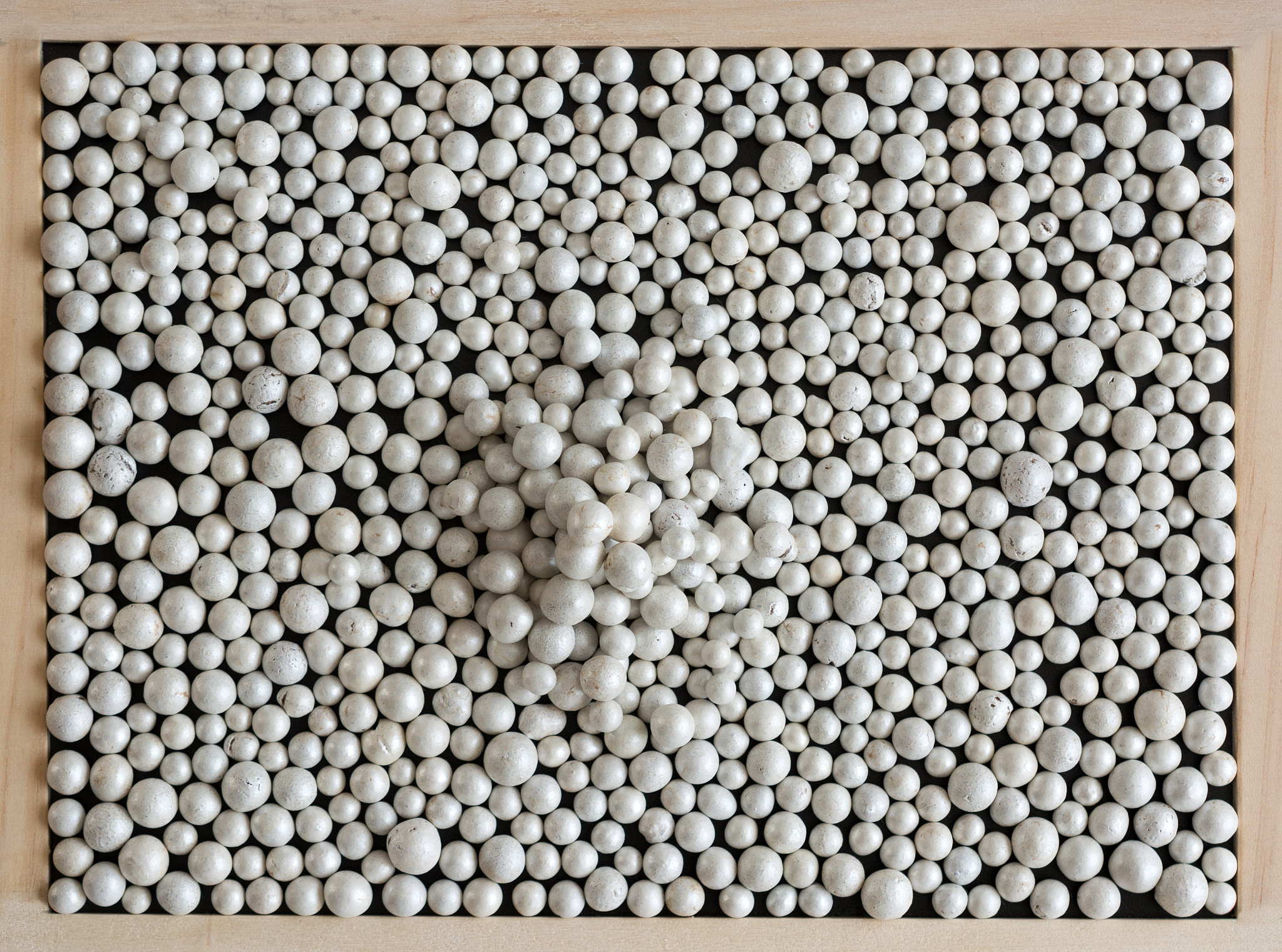 免烧生物陶粒：探寻最佳命名方案