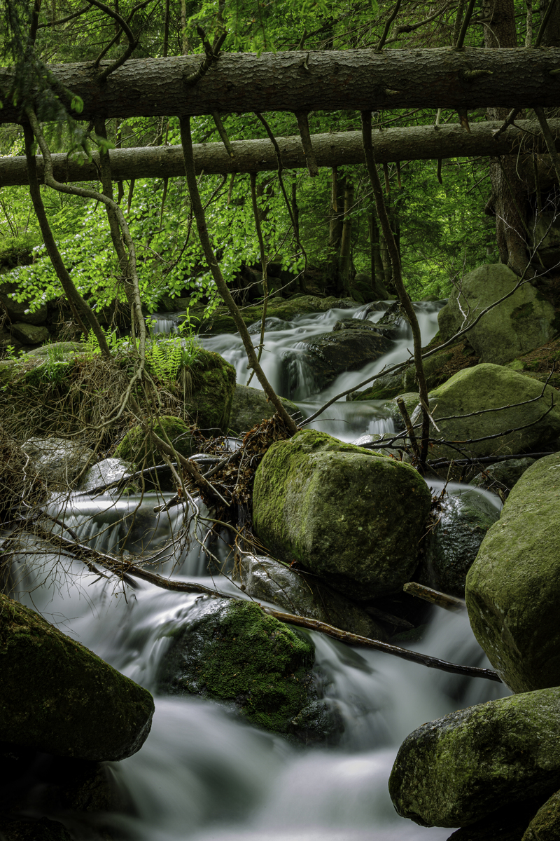 沉浸自然：感受原始之美，心灵得到净化