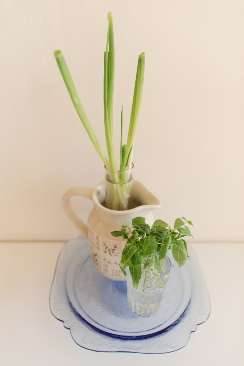 鲜花没有根部是怎样在花泥上生长的