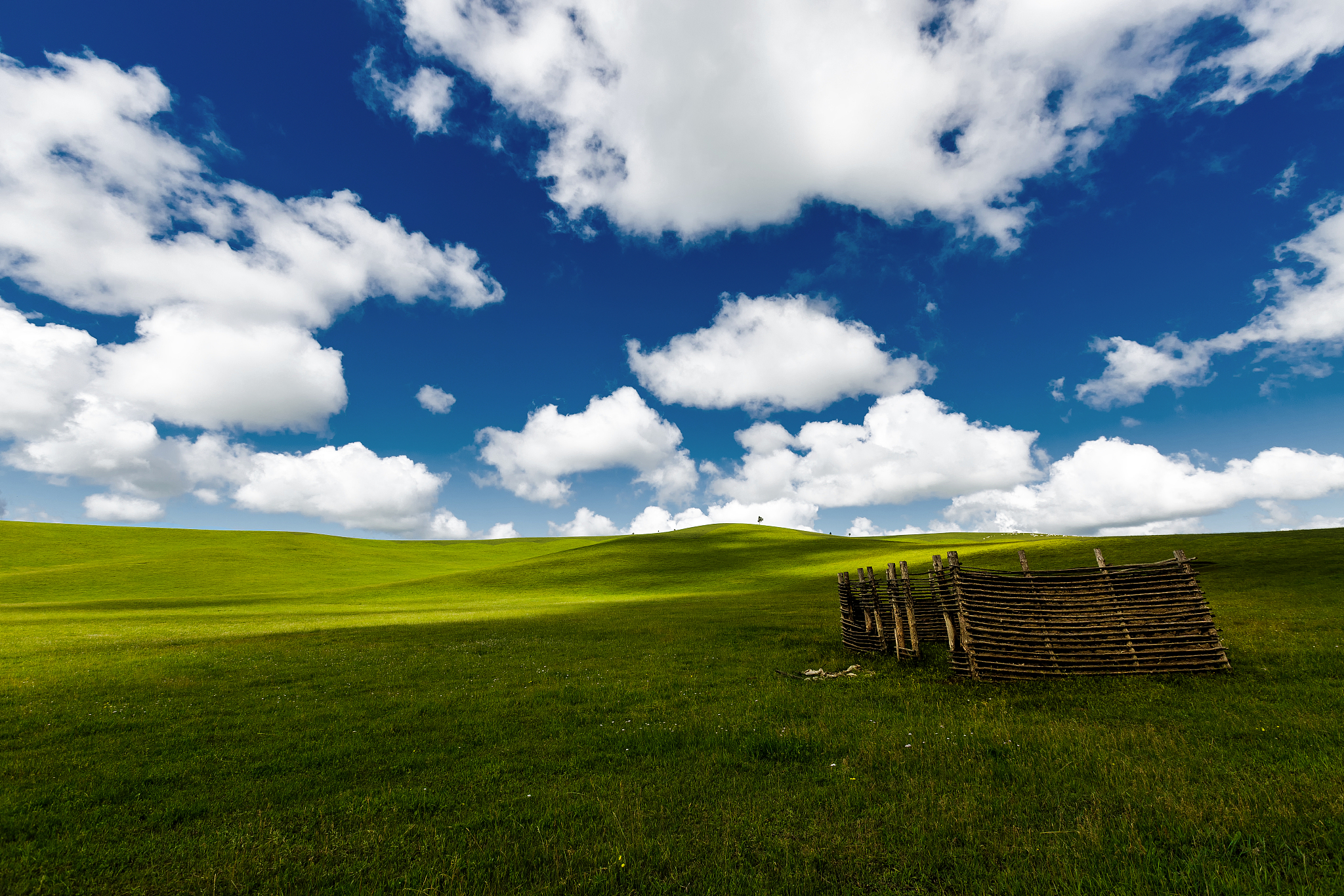 一个坐在草地上的长发女孩蓝天白云以satble diffusion提示出告诉我