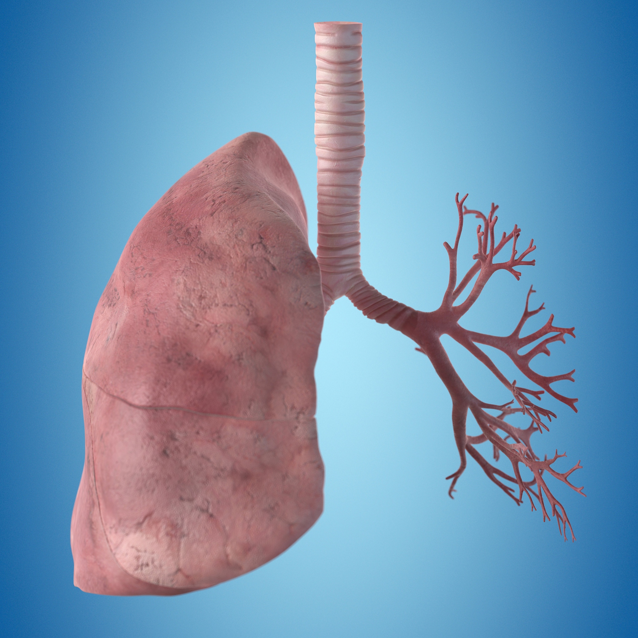 用三个汉字做一个演变过程ppt