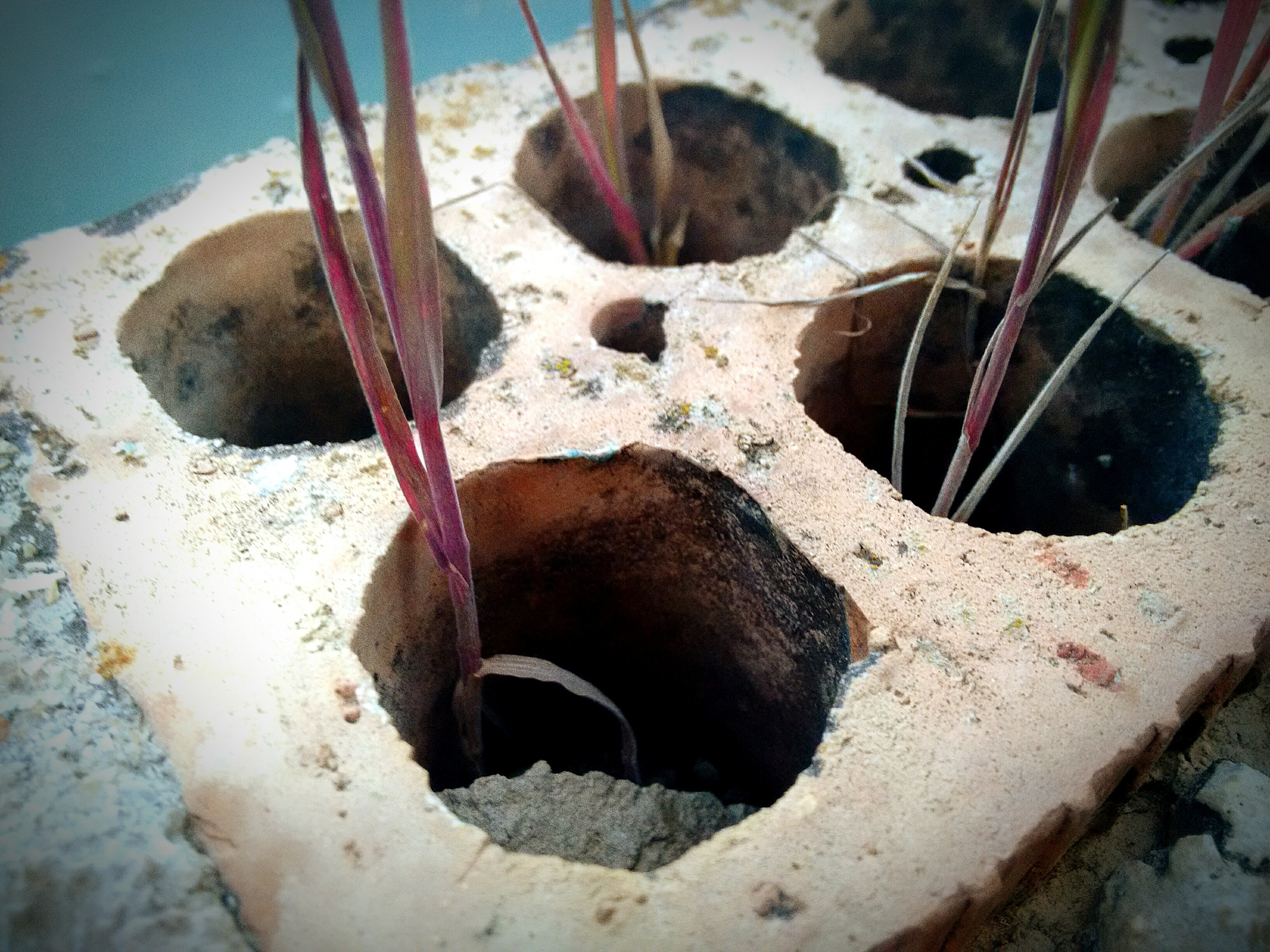 以茎制洞：掌控核心，掌控全局