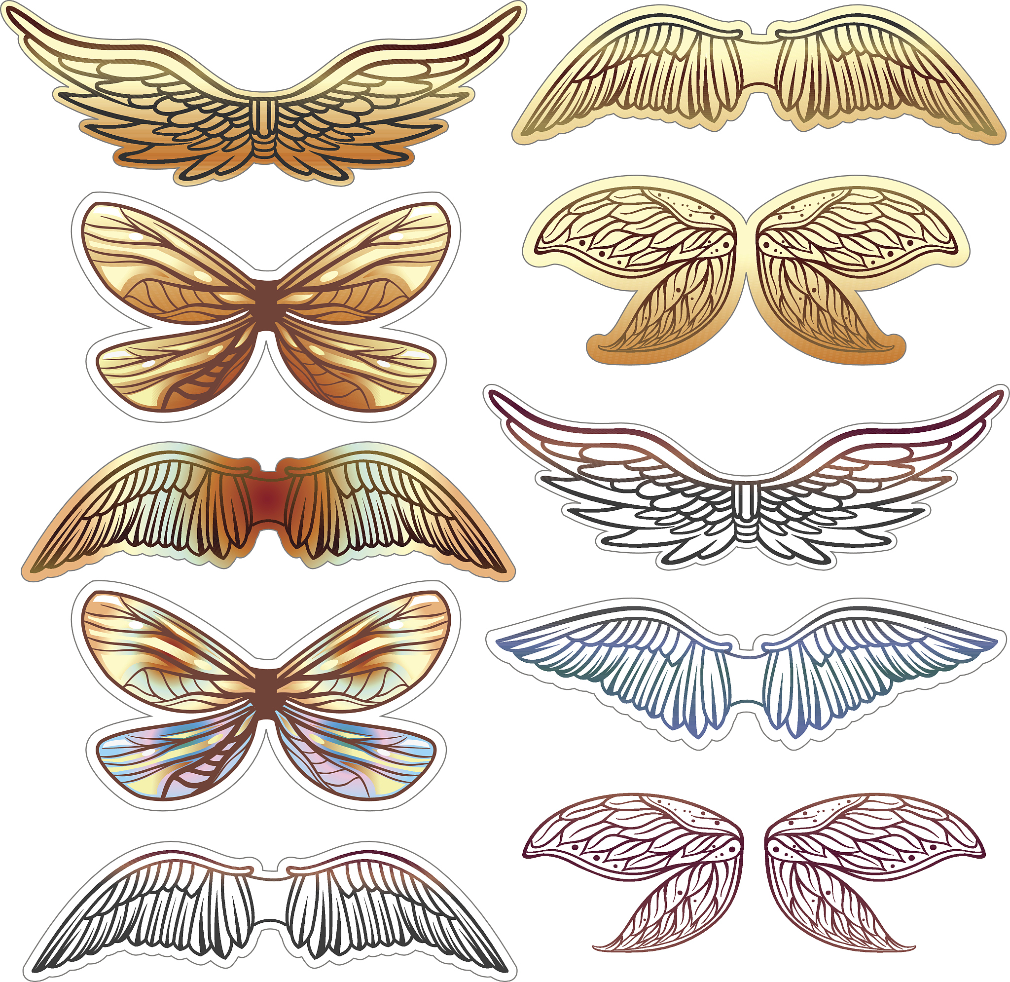 小蜻蜓，空中飞翔的小飞机！