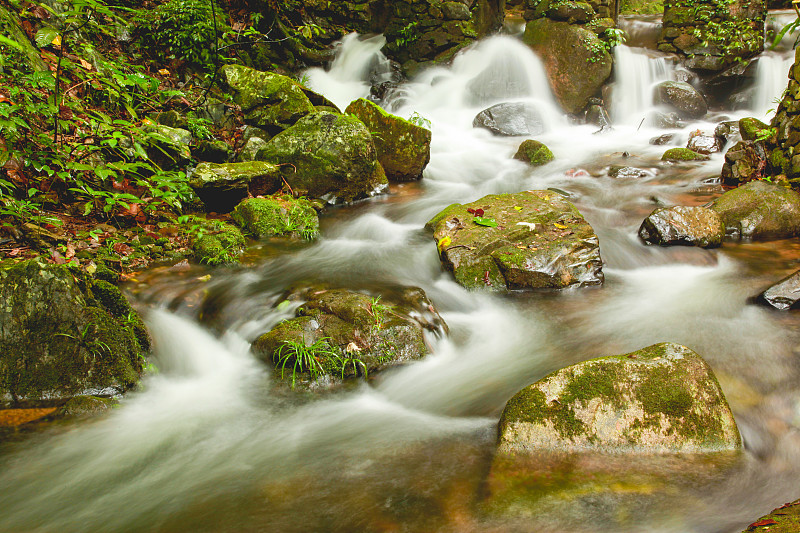 肇庆经贸学校招生要求学校招生对象