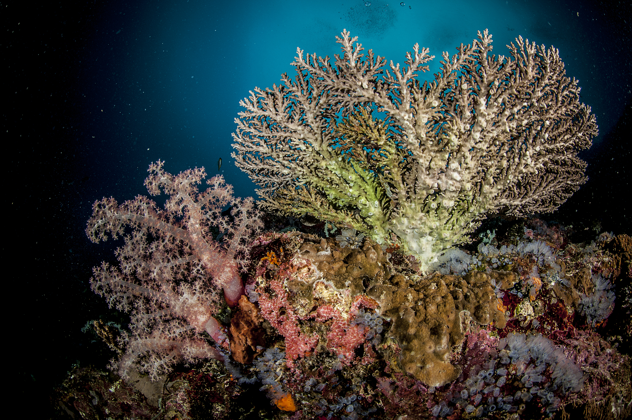 高一生物知识点