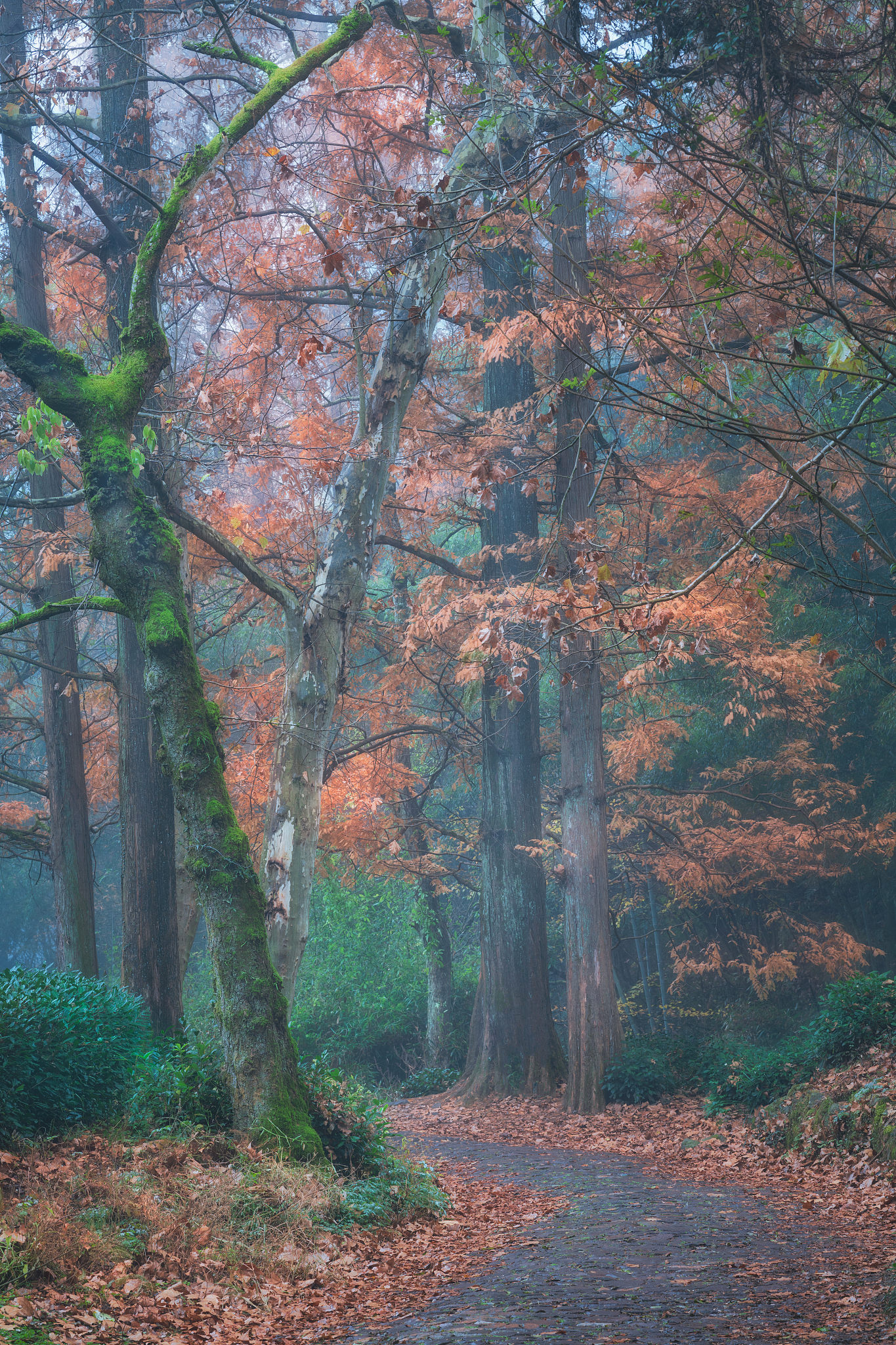 月光宝盒类似的名字好听好记