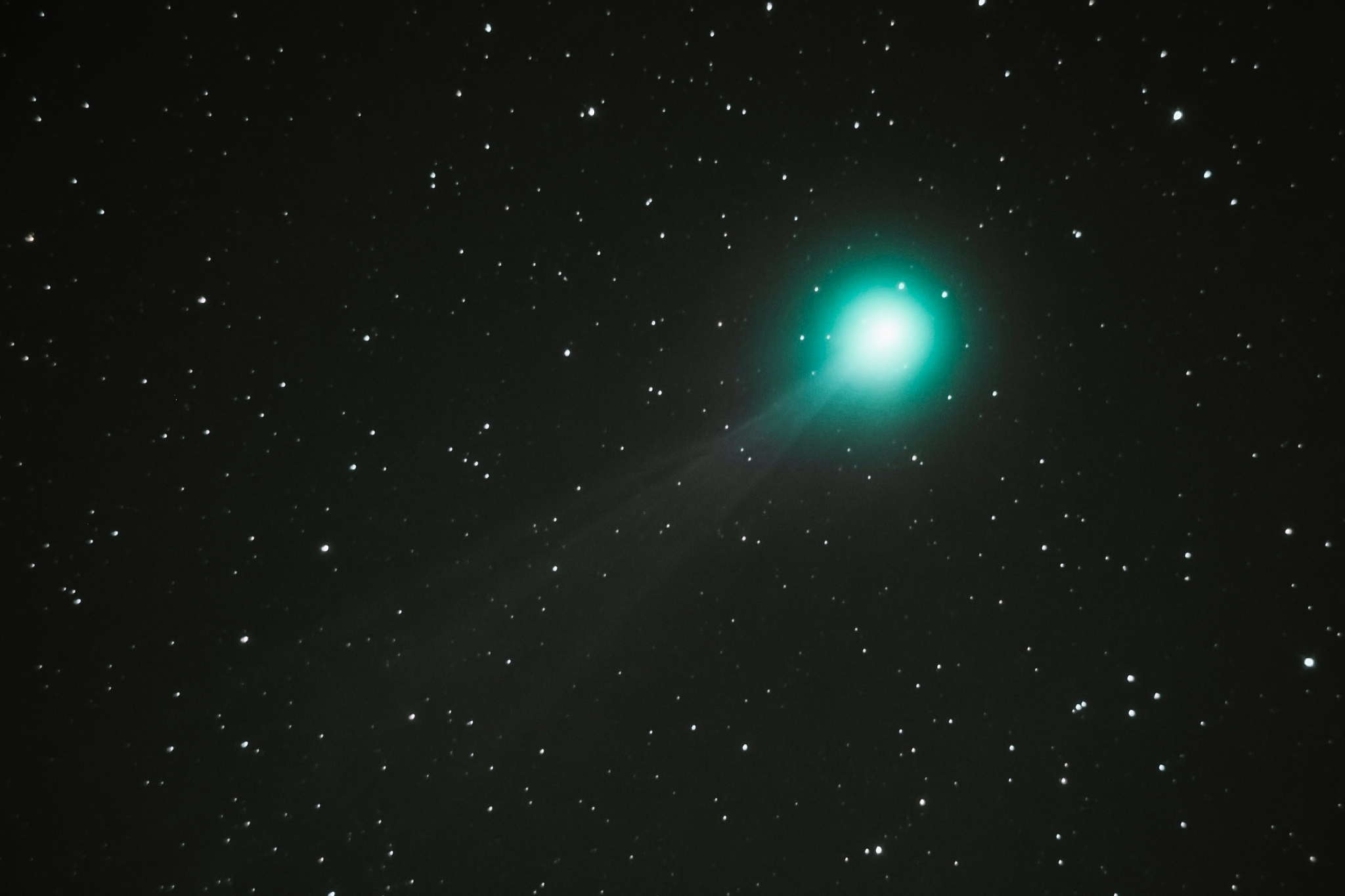 lovejoy