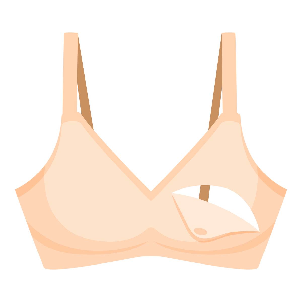 Bra Cup Size in English: Definition, Examples, and Considerations