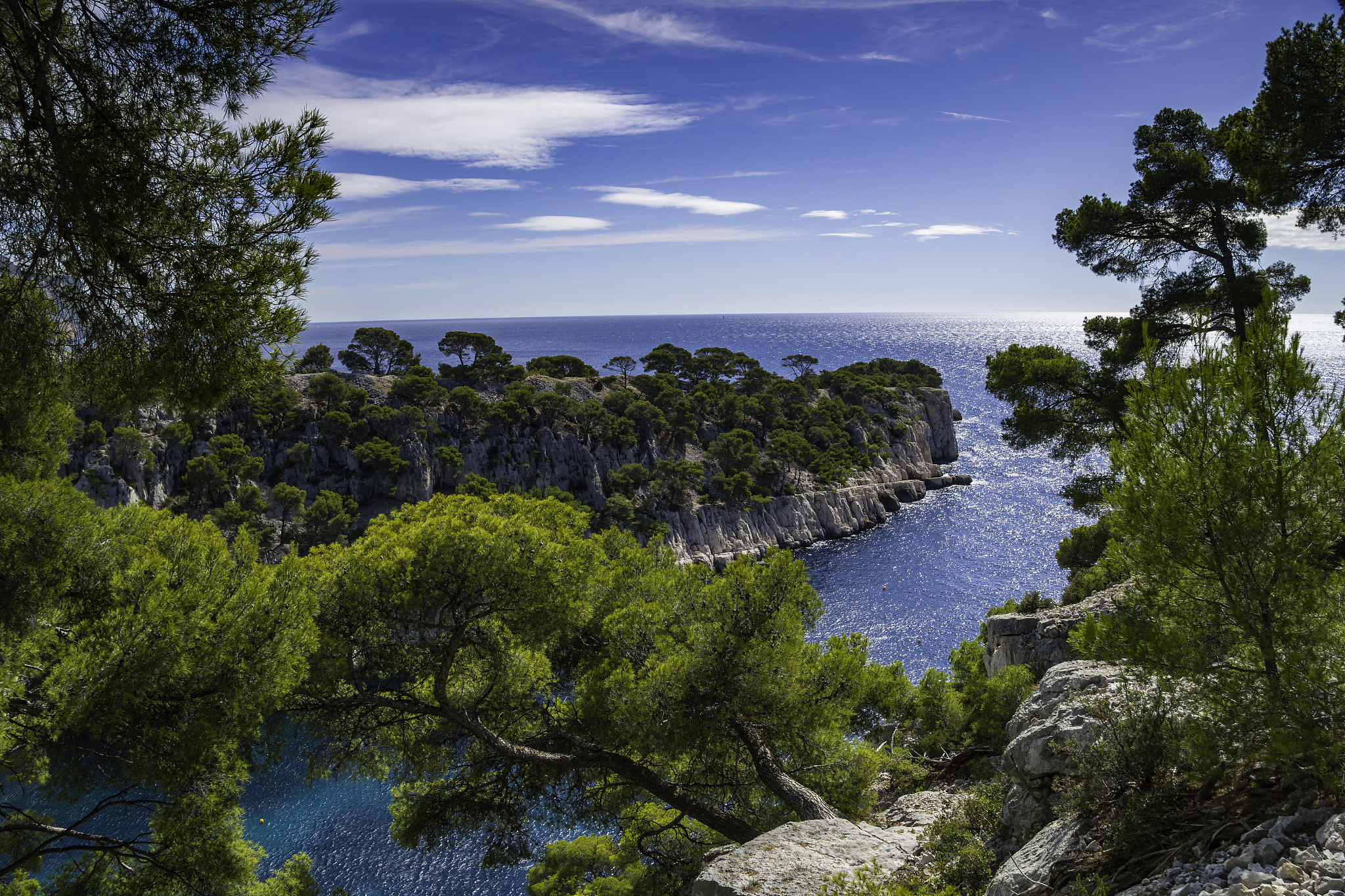 Spring Hill, FL: Explore Nature, Family Fun & Affordable Living