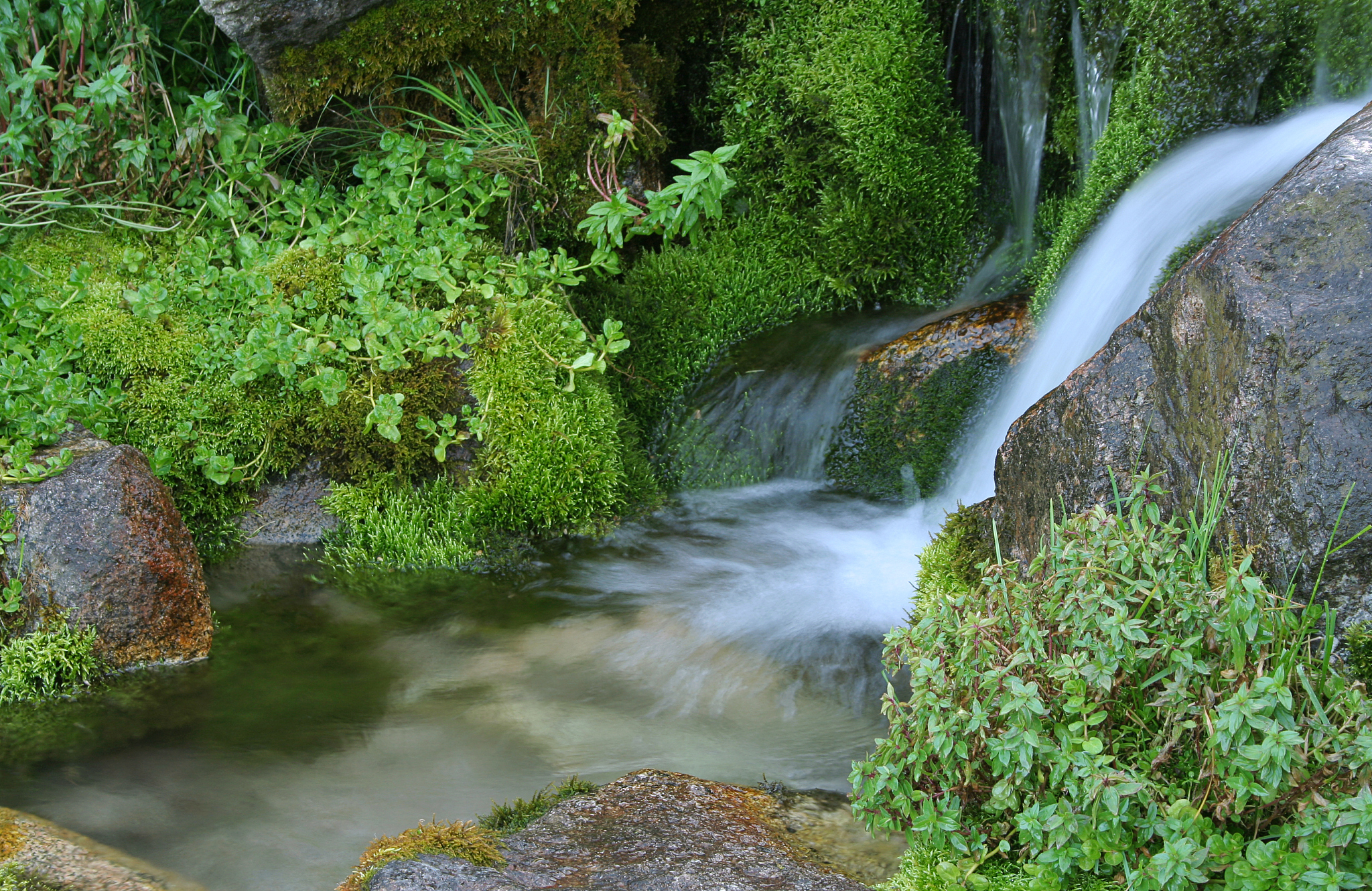 风水改善原理：提升运势和生活质量的秘诀