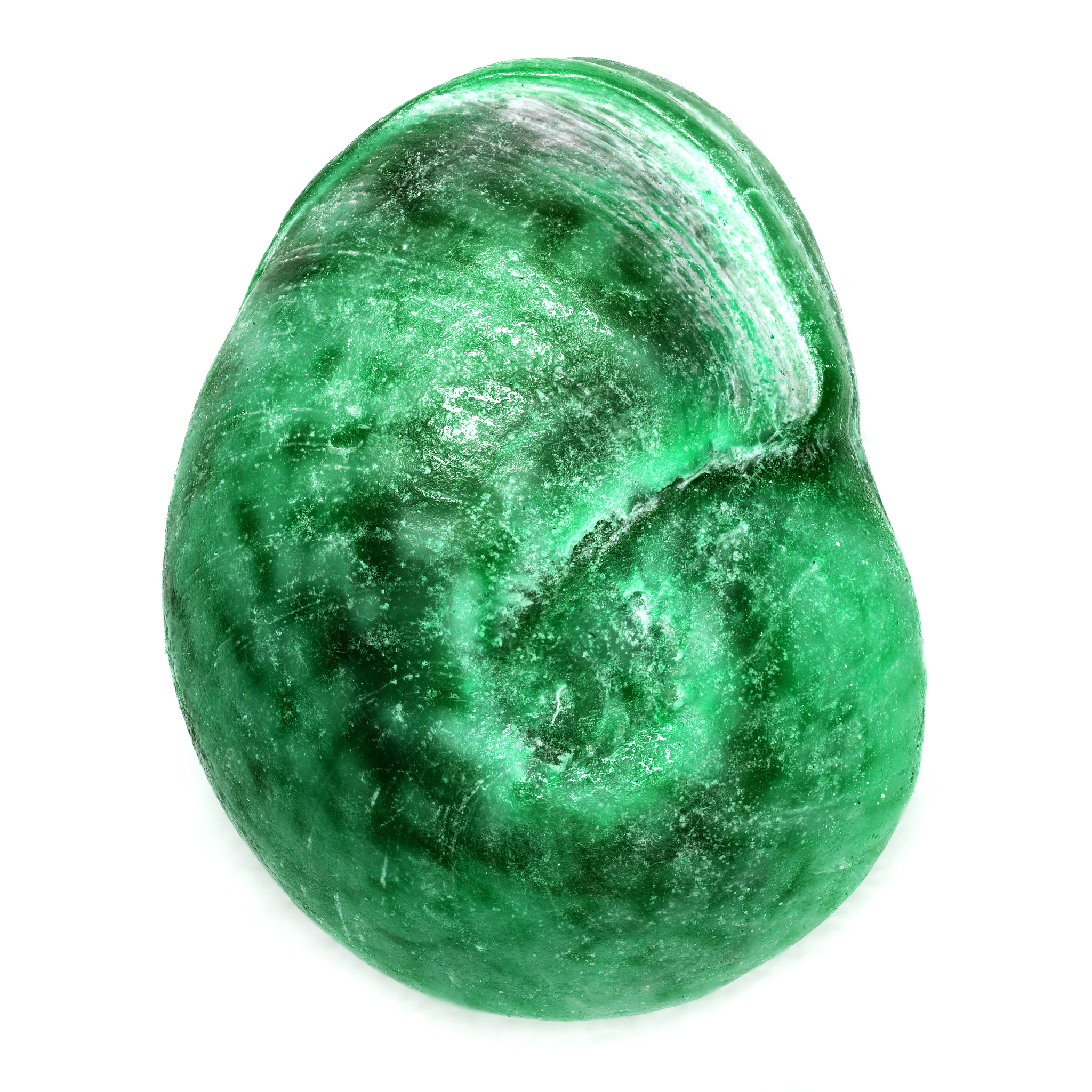 sea shell