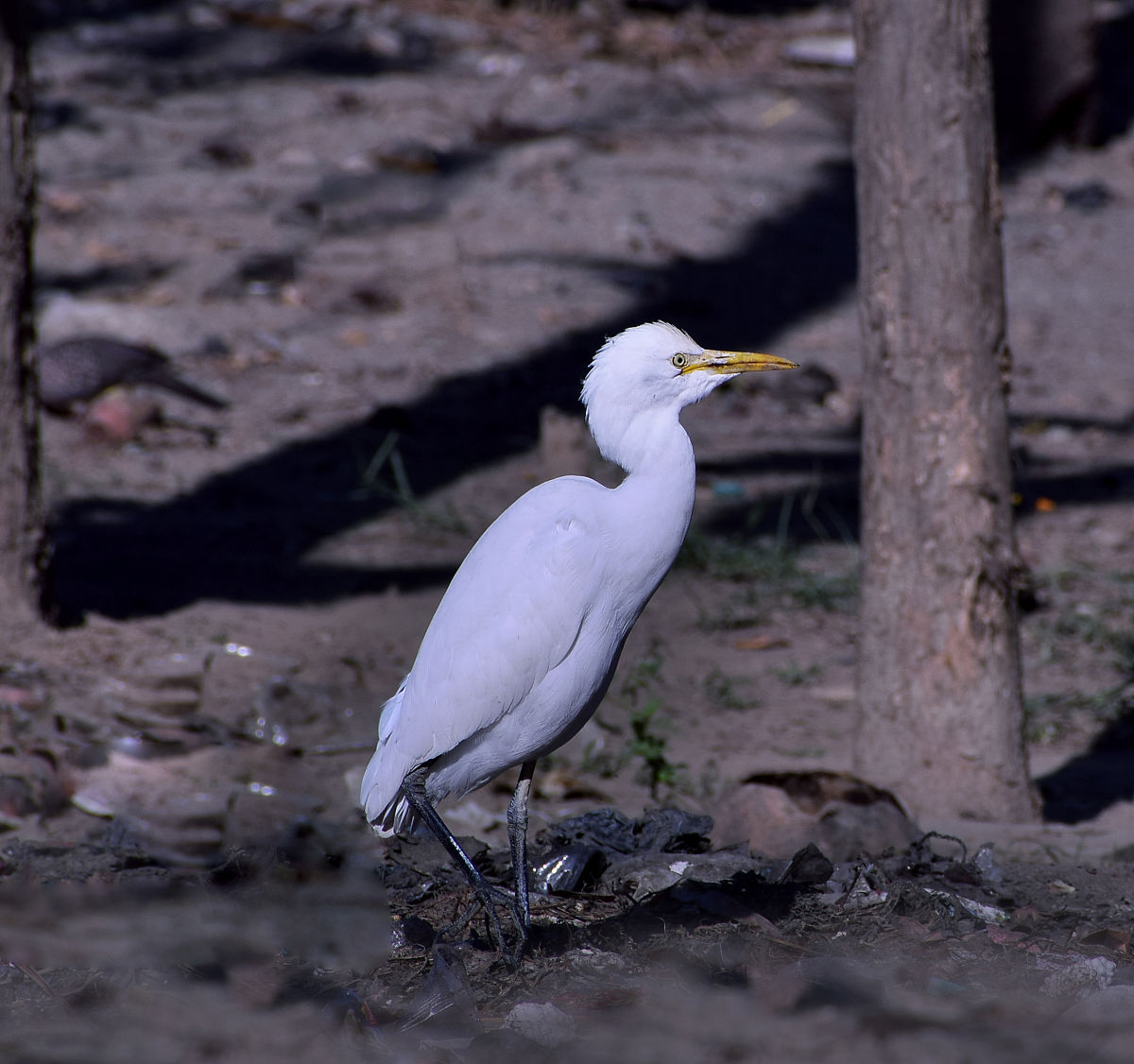 电动单梁起重机发展趋势：自动化、轻量化、节能、智能化