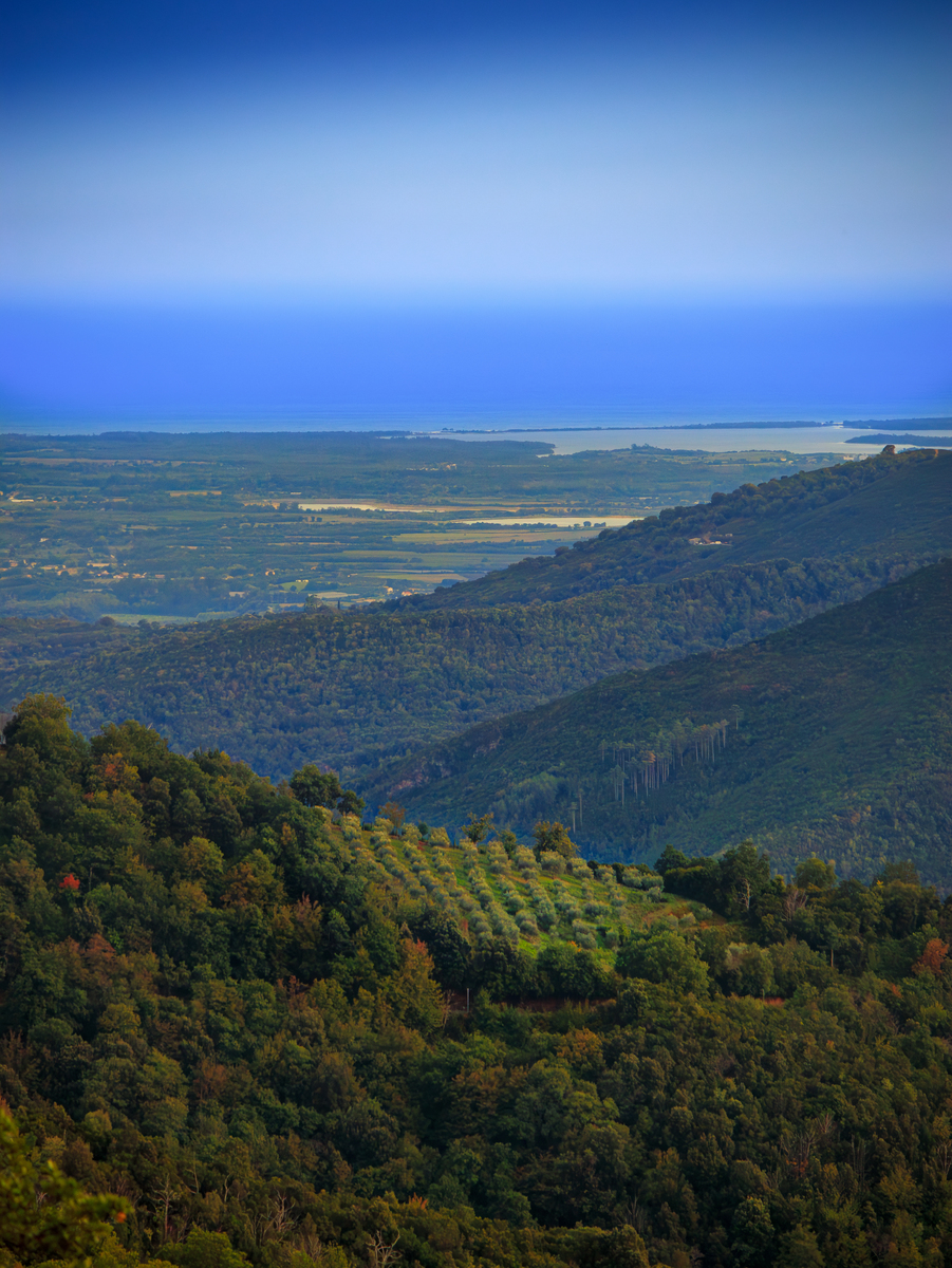 Explore North America: Discover Diverse Cultures, Landscapes & Wildlife