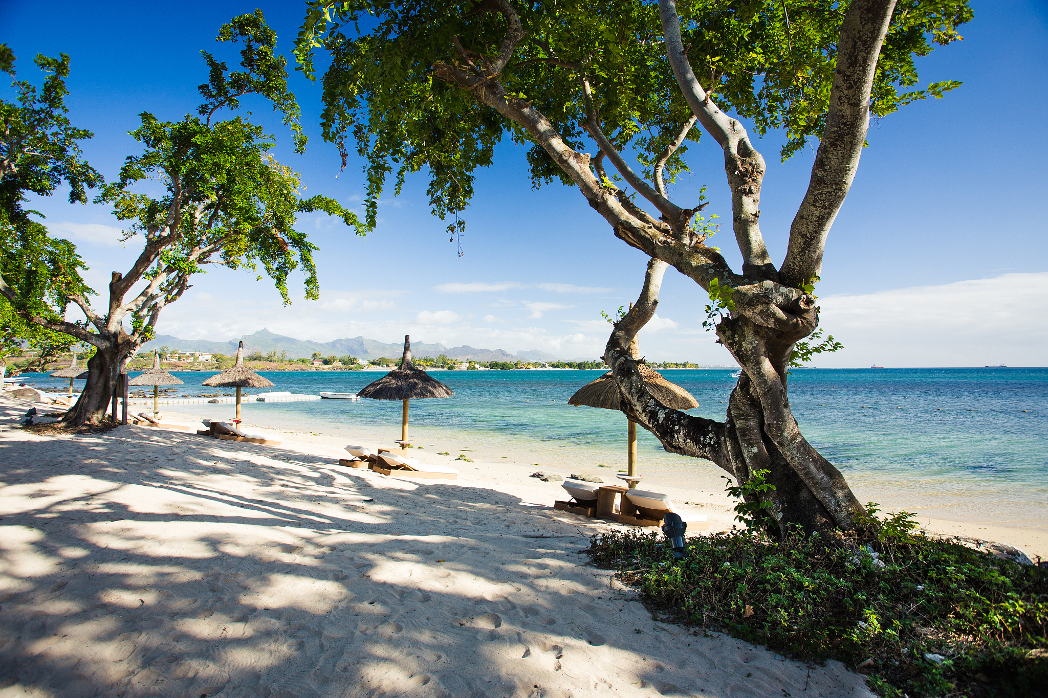 beach on mauritius