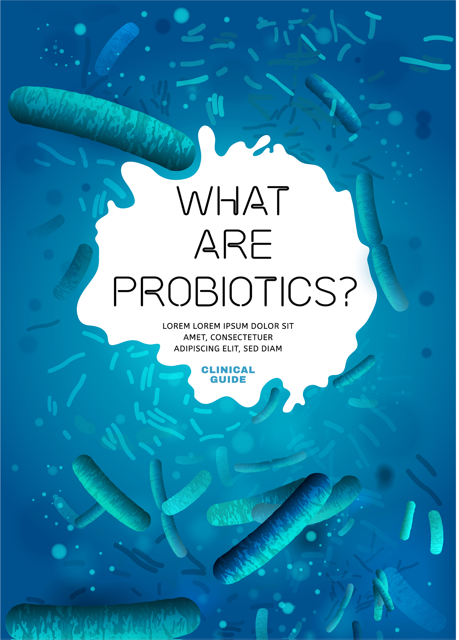 变形菌门、厚壁菌门和拟杆菌门分别在肠道中的作用