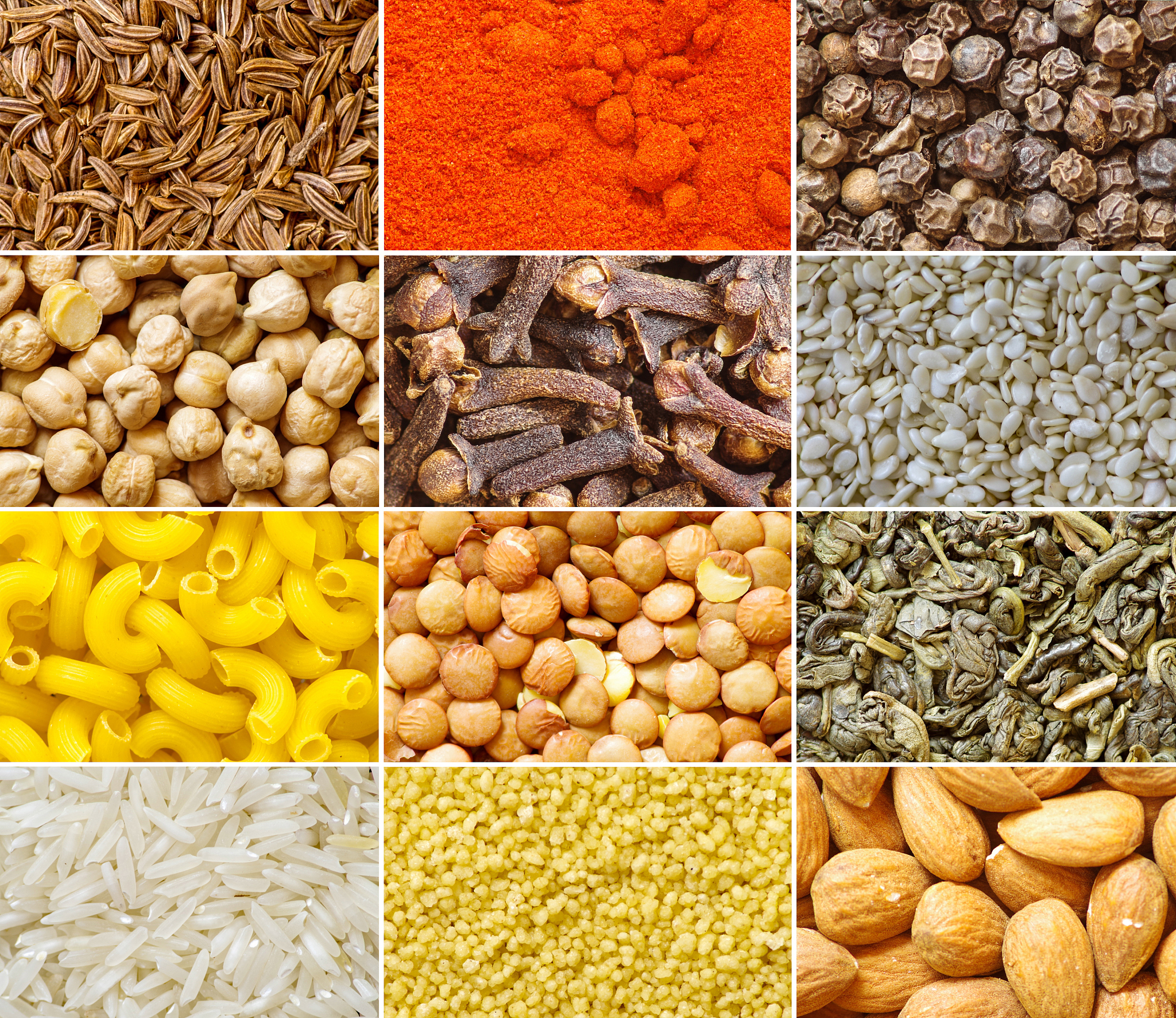 collection of food ingredients