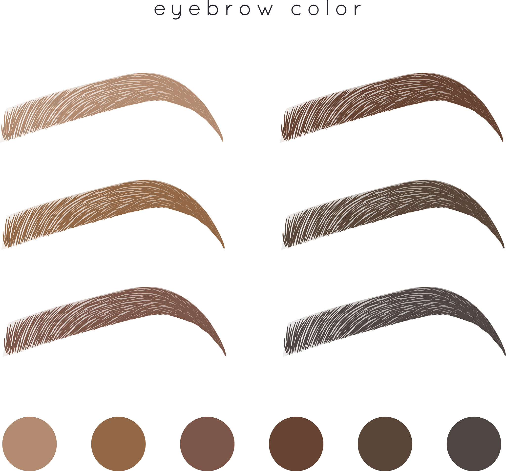 关于关于画眉误区有哪些的文章