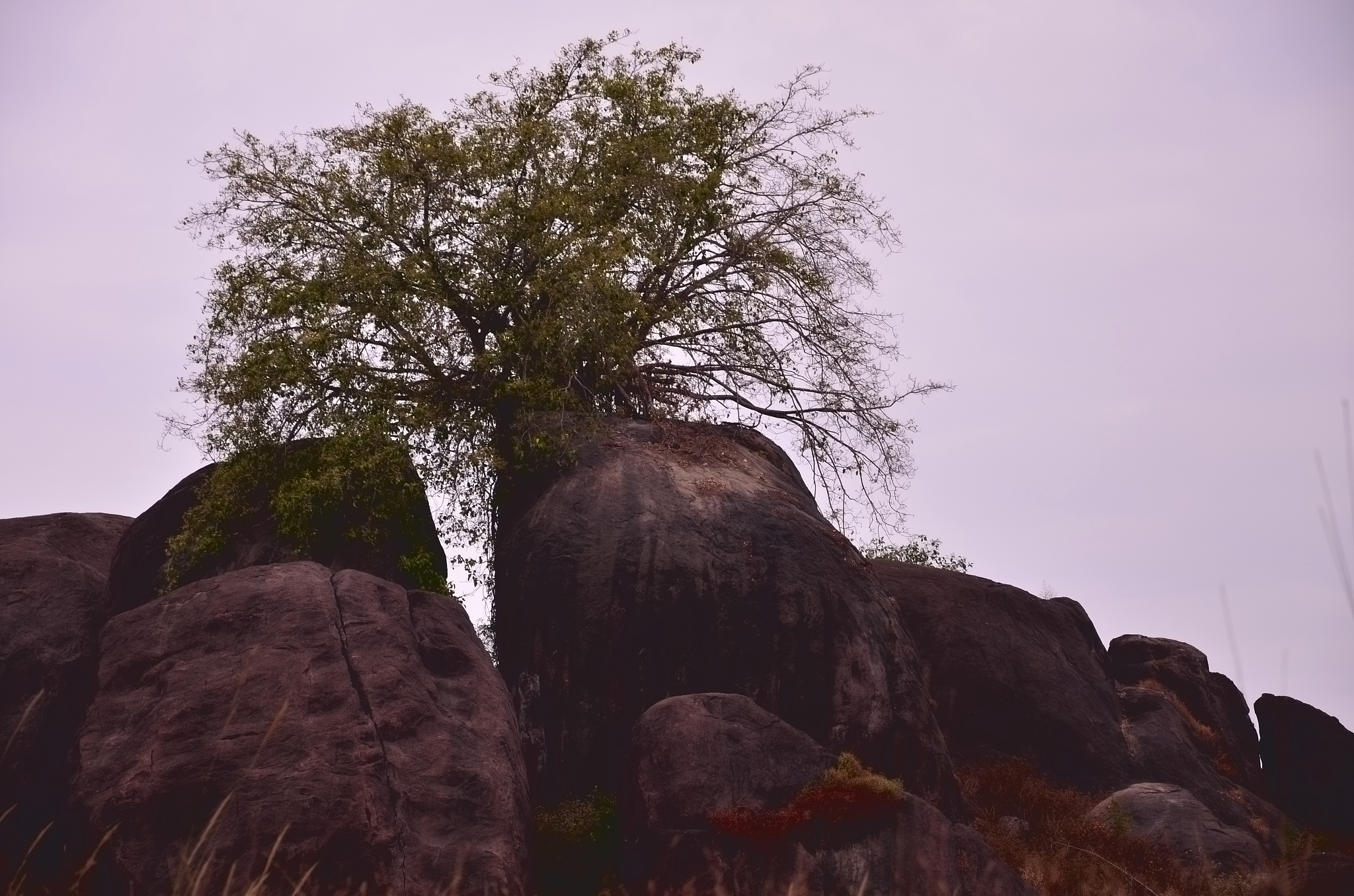 阐述老旧小区改造项目居民参与意愿的影响因素包括参与动机、参与认同、参与意识、参与能力、参与机制、参与感知