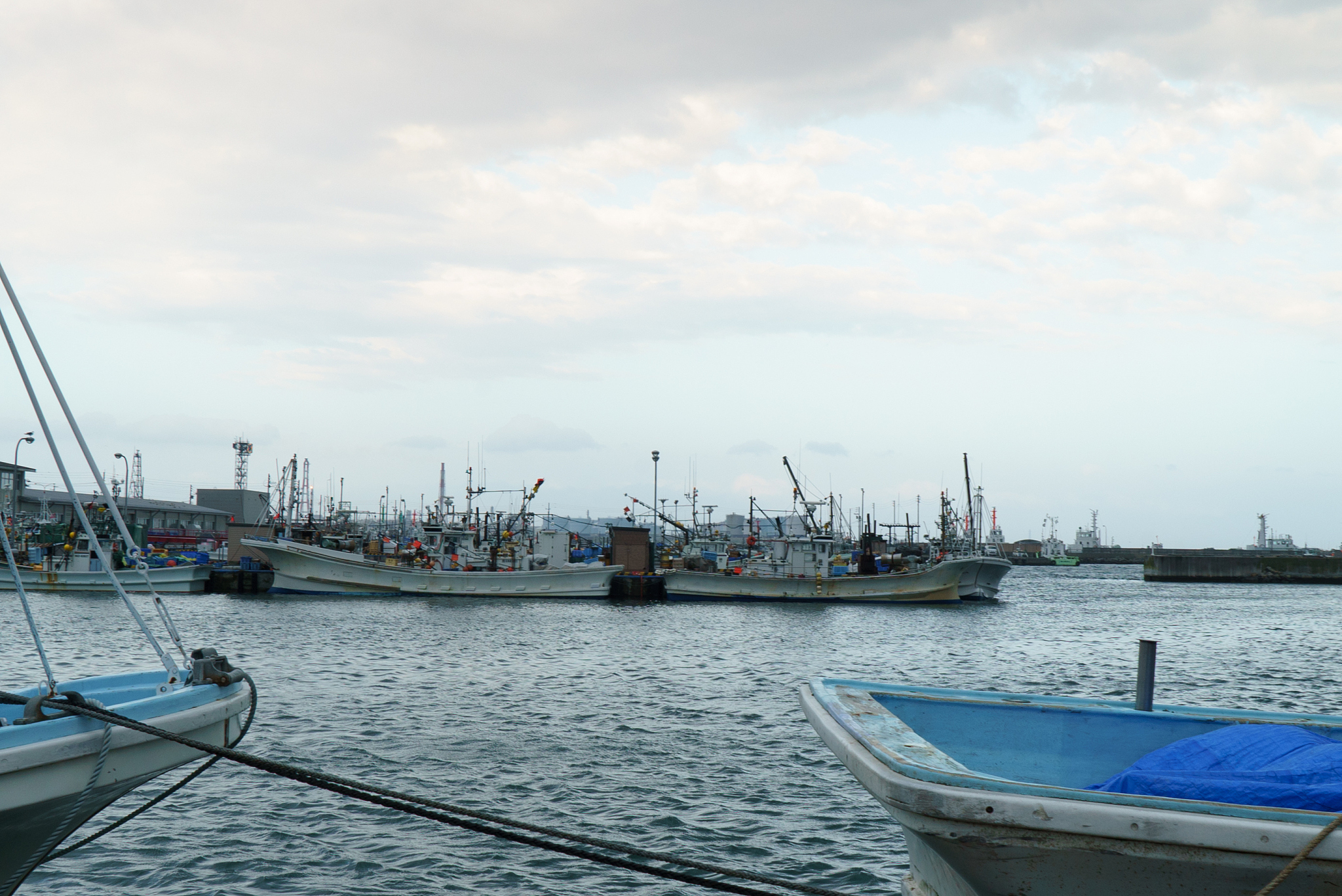 fishing port , tomakomai japan