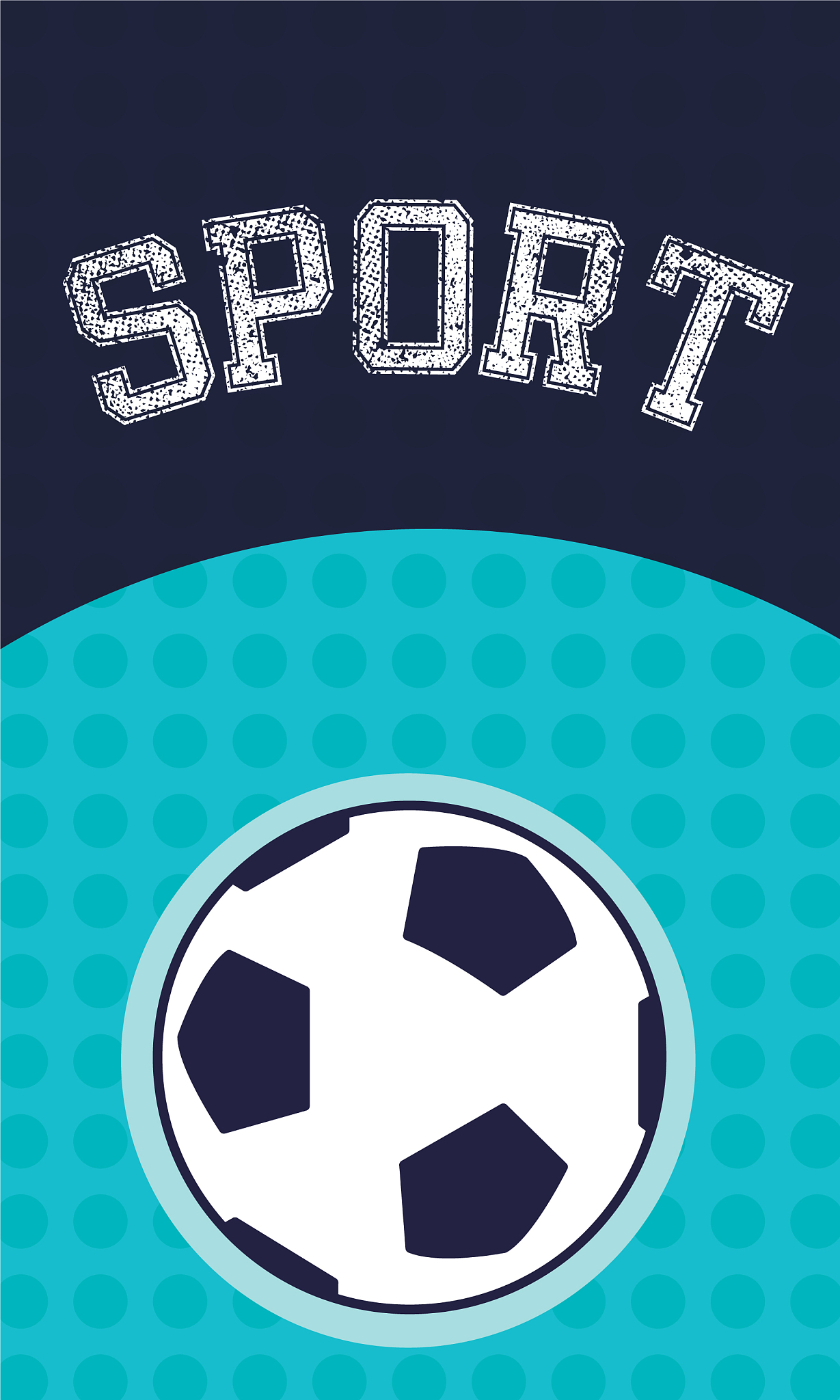 sport soccer ball