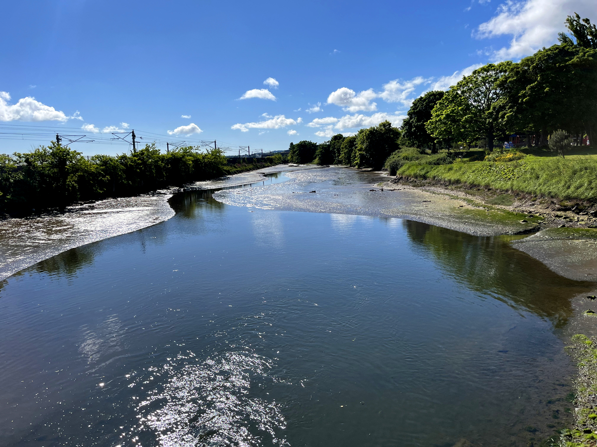 近期发表有关水体污染的论文