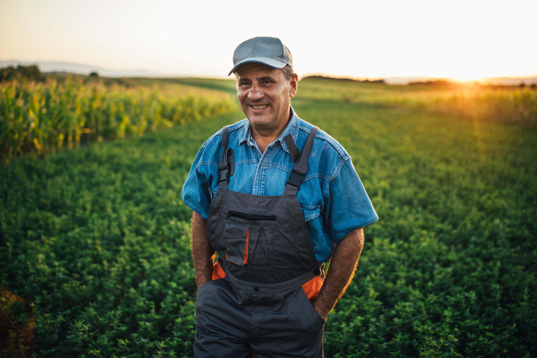 农资连锁经营与管理专业就业前景怎么样？未来发展方向有哪些？