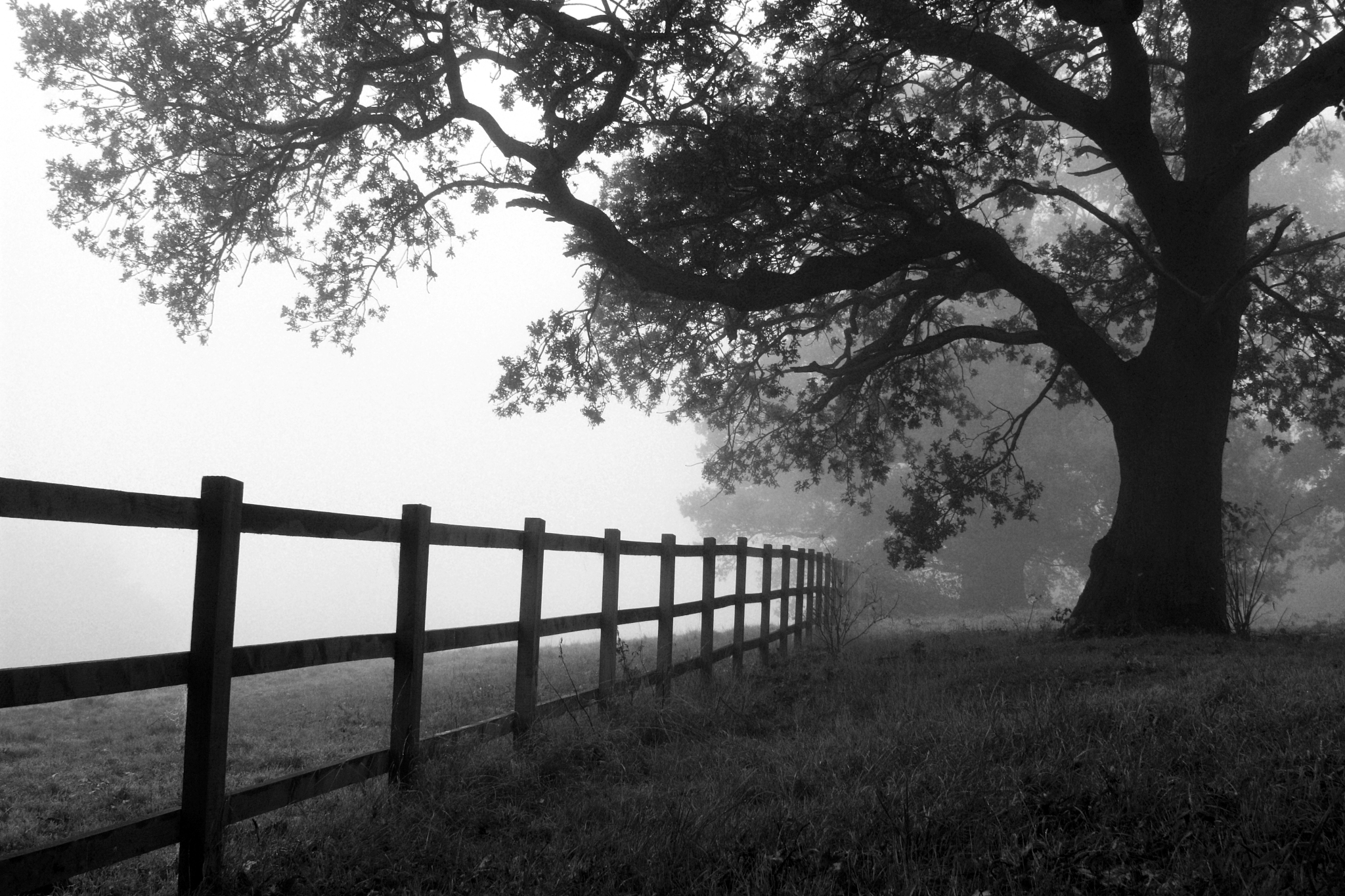 将林夕的《不来也不去》翻译成英语