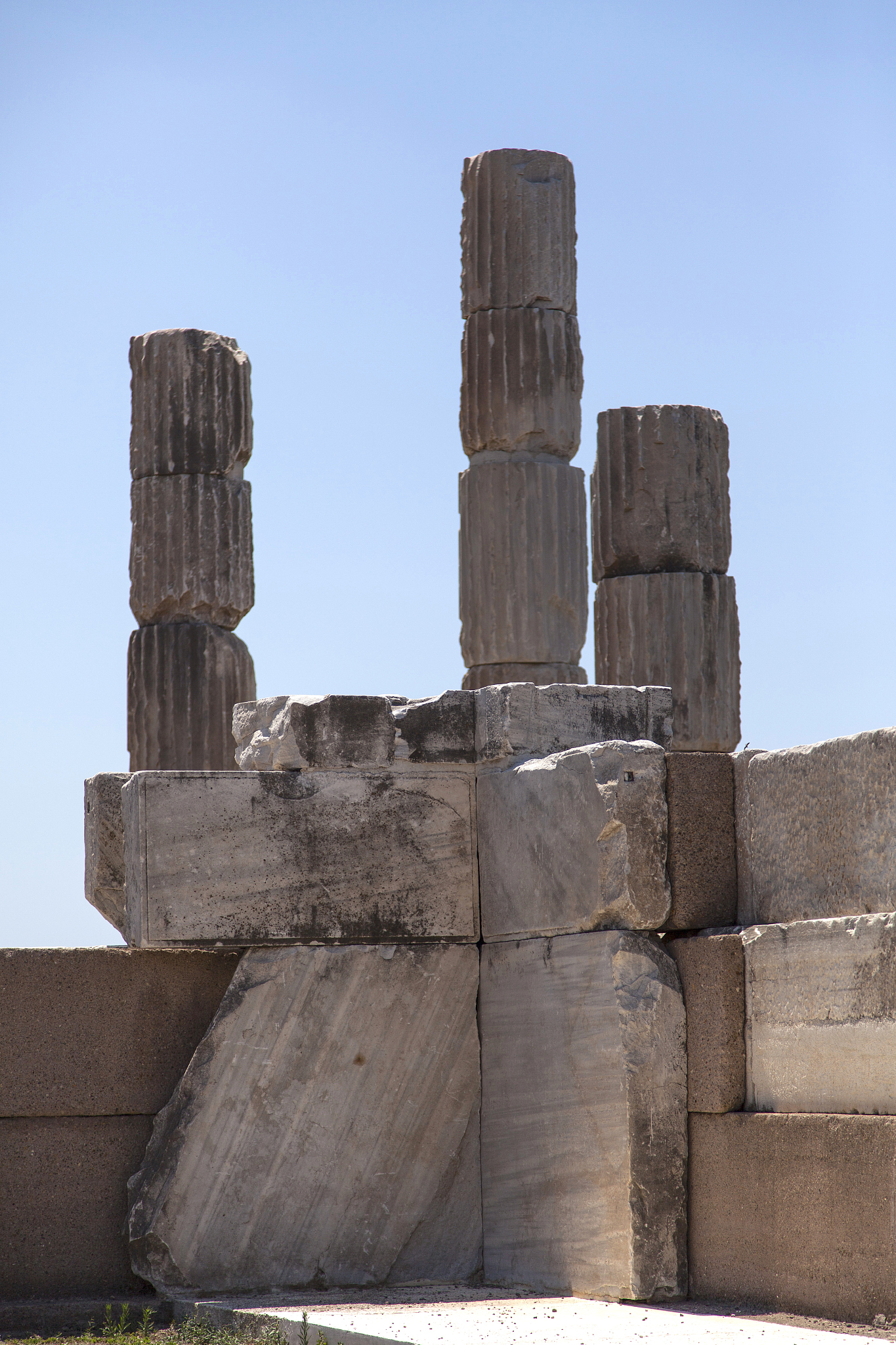 apollon smintheus