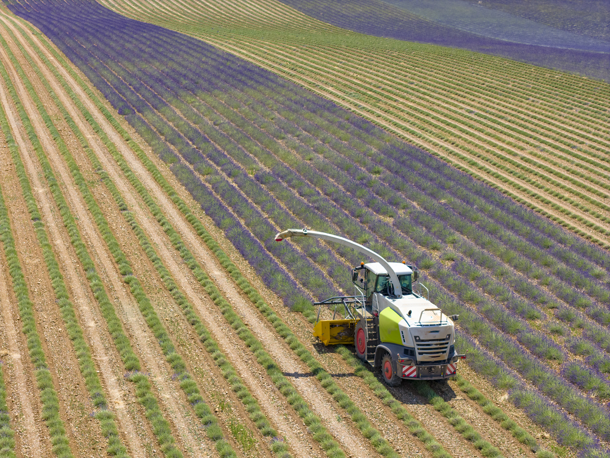 陕西省农业机械化学校现代农业技术专业简介 - 培养高素质农业技术人才