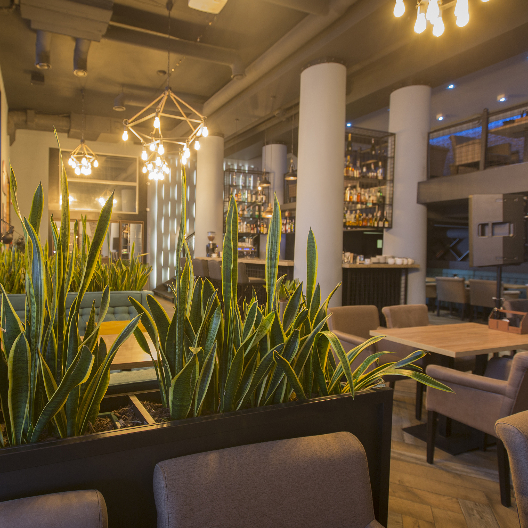 和韵咖啡馆商业计划书：打造集咖啡、茶饮、小吃、甜点于一体的休闲娱乐场所