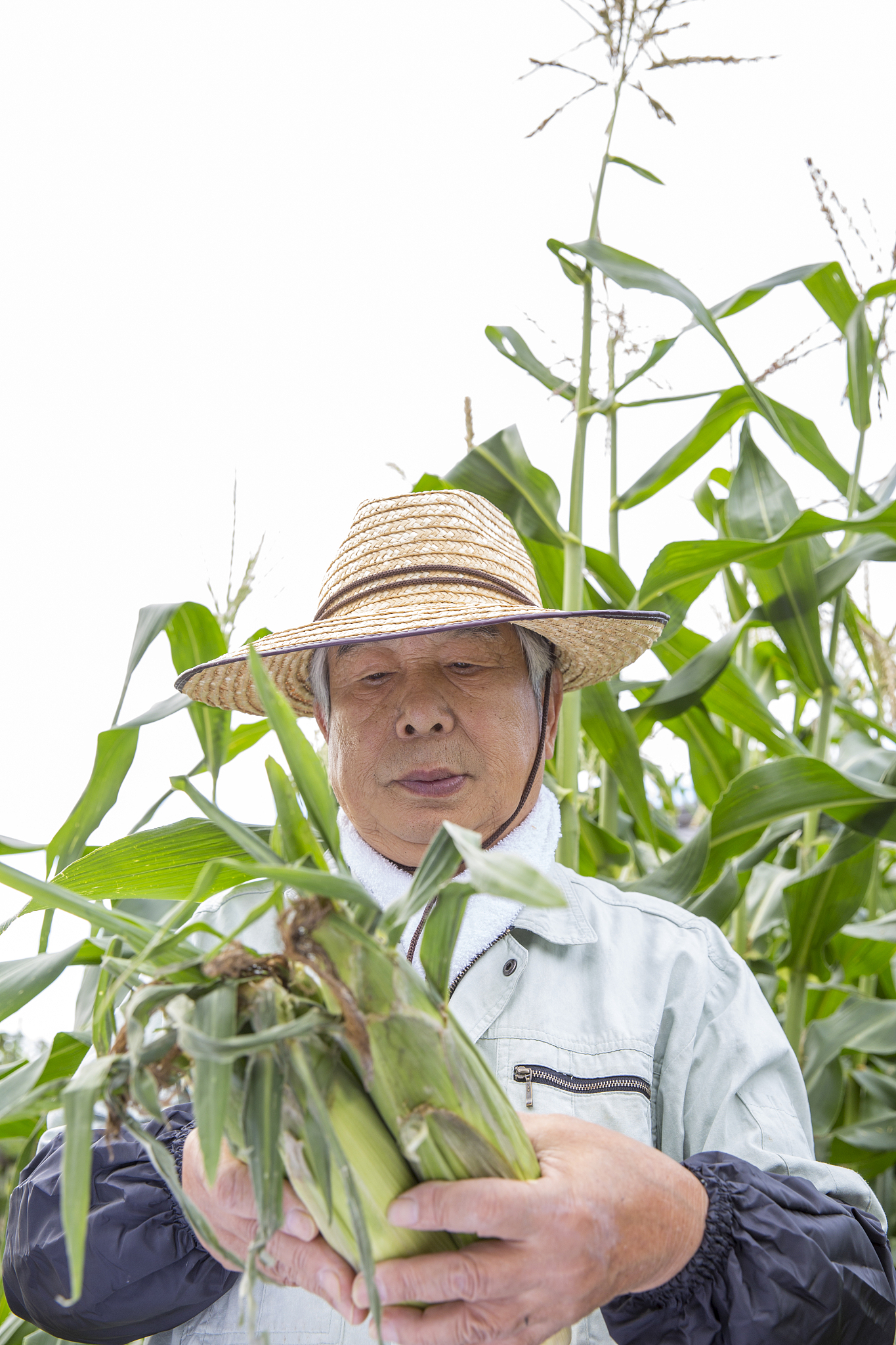 山西农业机械化学校2022年招生专业都有哪些