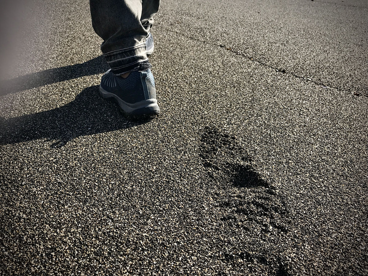 足迹鉴定：揭秘犯罪现场的秘密