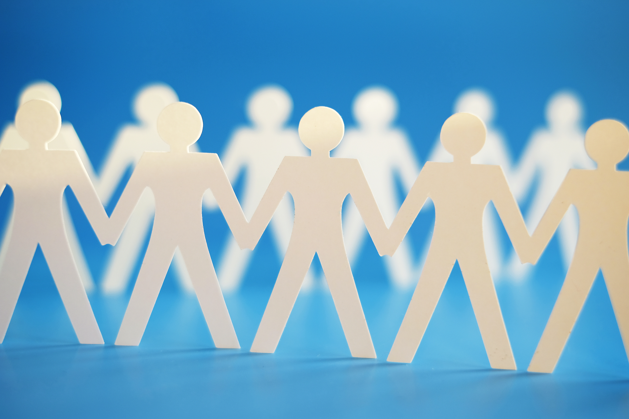 你一半我一半。写一篇议论文