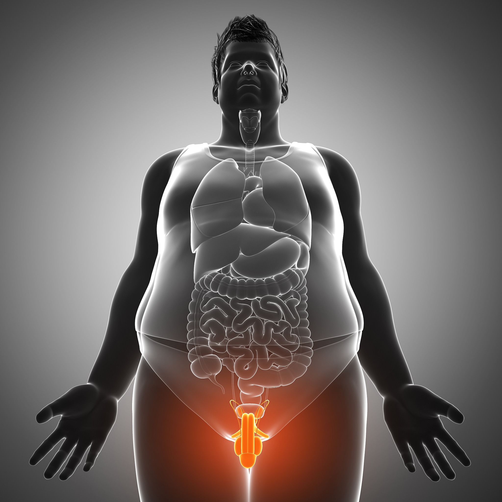 黑龙江职校助产专业主要学习哪些课程