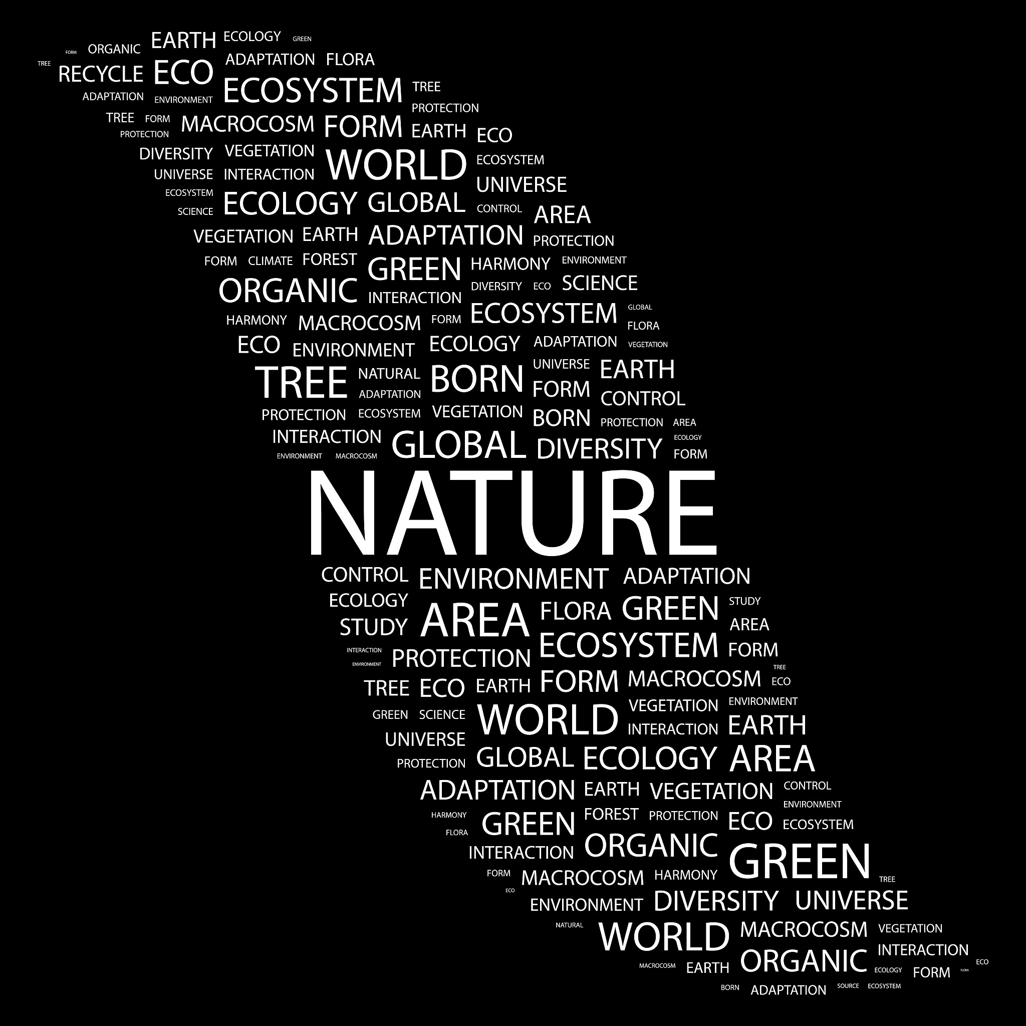 nature communications期刊要求的矢量图是什么样的标准