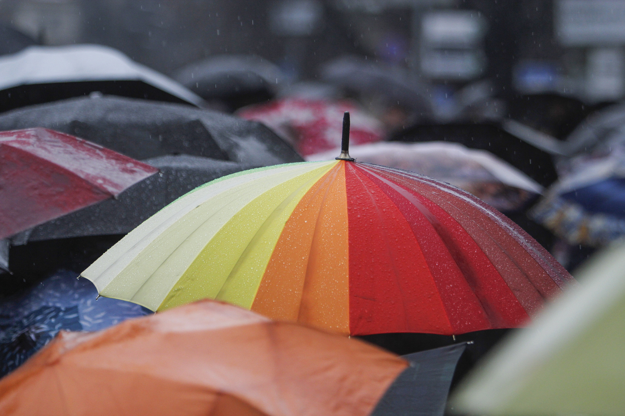rain umbrella with rain drops
