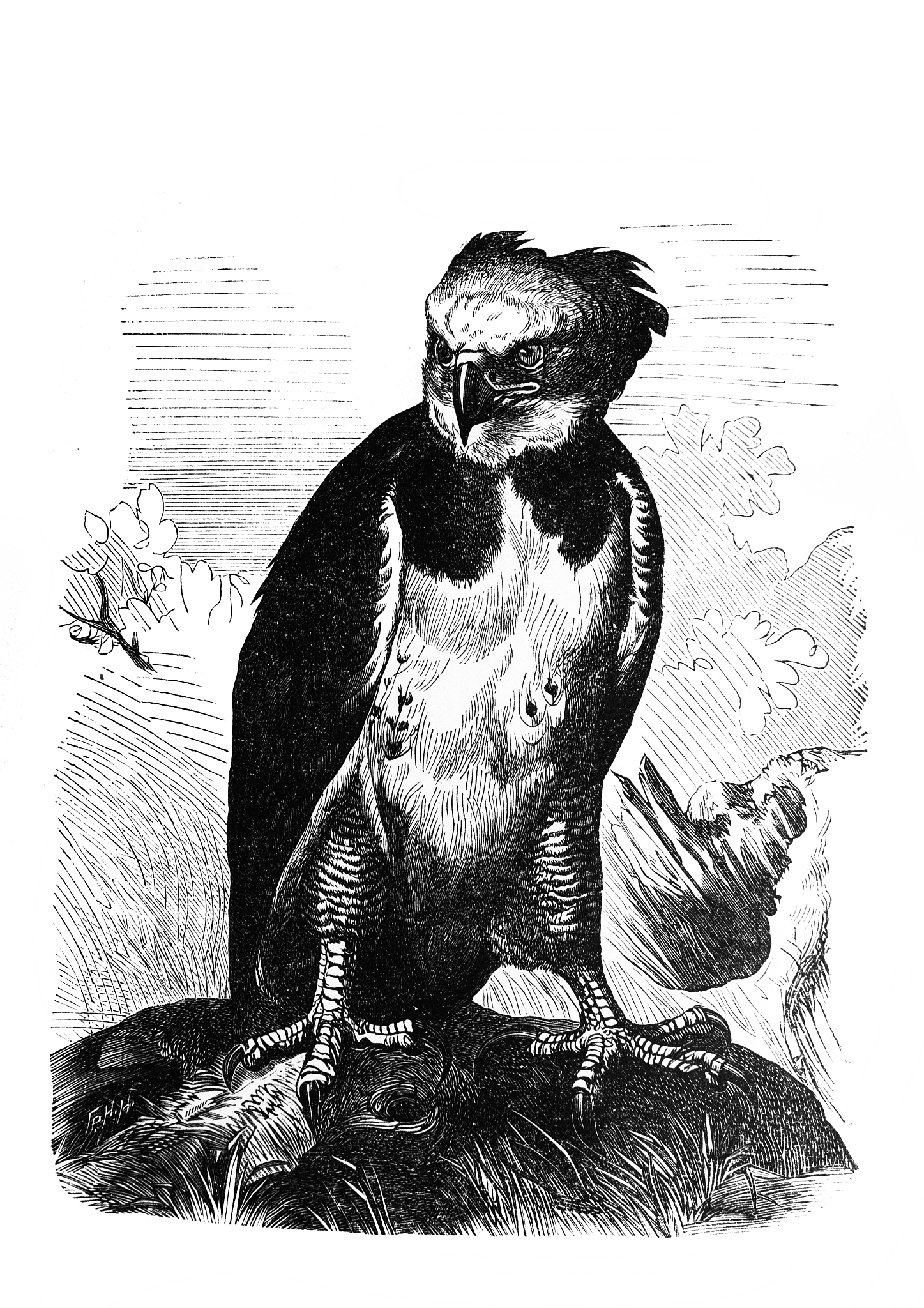 《人类简史：从动物到上帝》：一部洞悉人类过去、思考未来命运的杰作