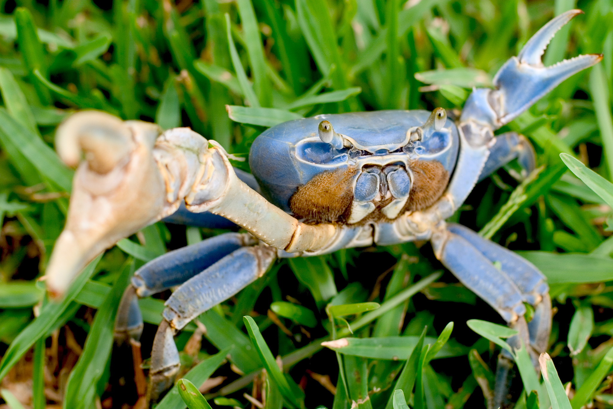 Guan Guan Hui Sluice Gate Photos: Striking Names & Images