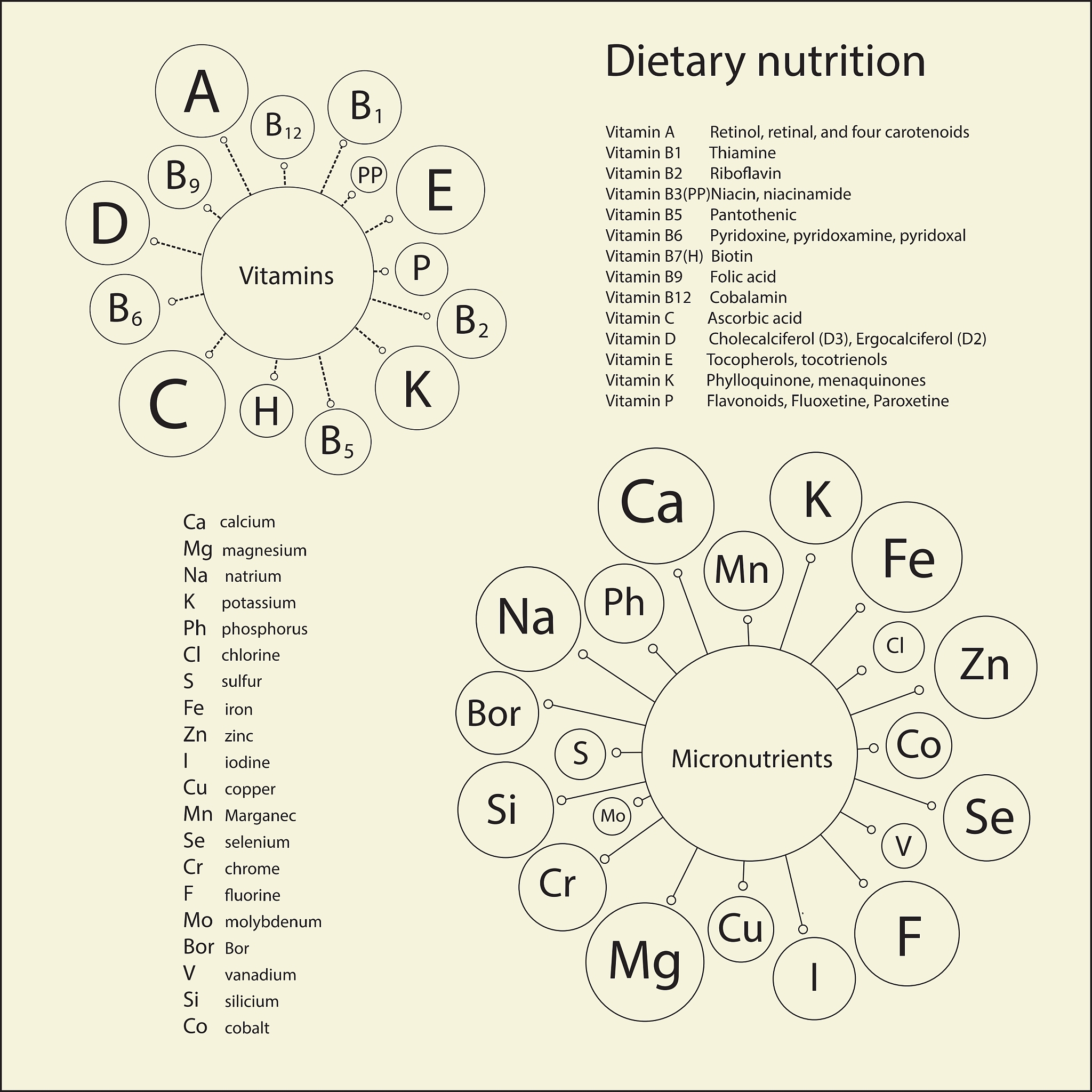 维医学专科专业怎么样？用发散