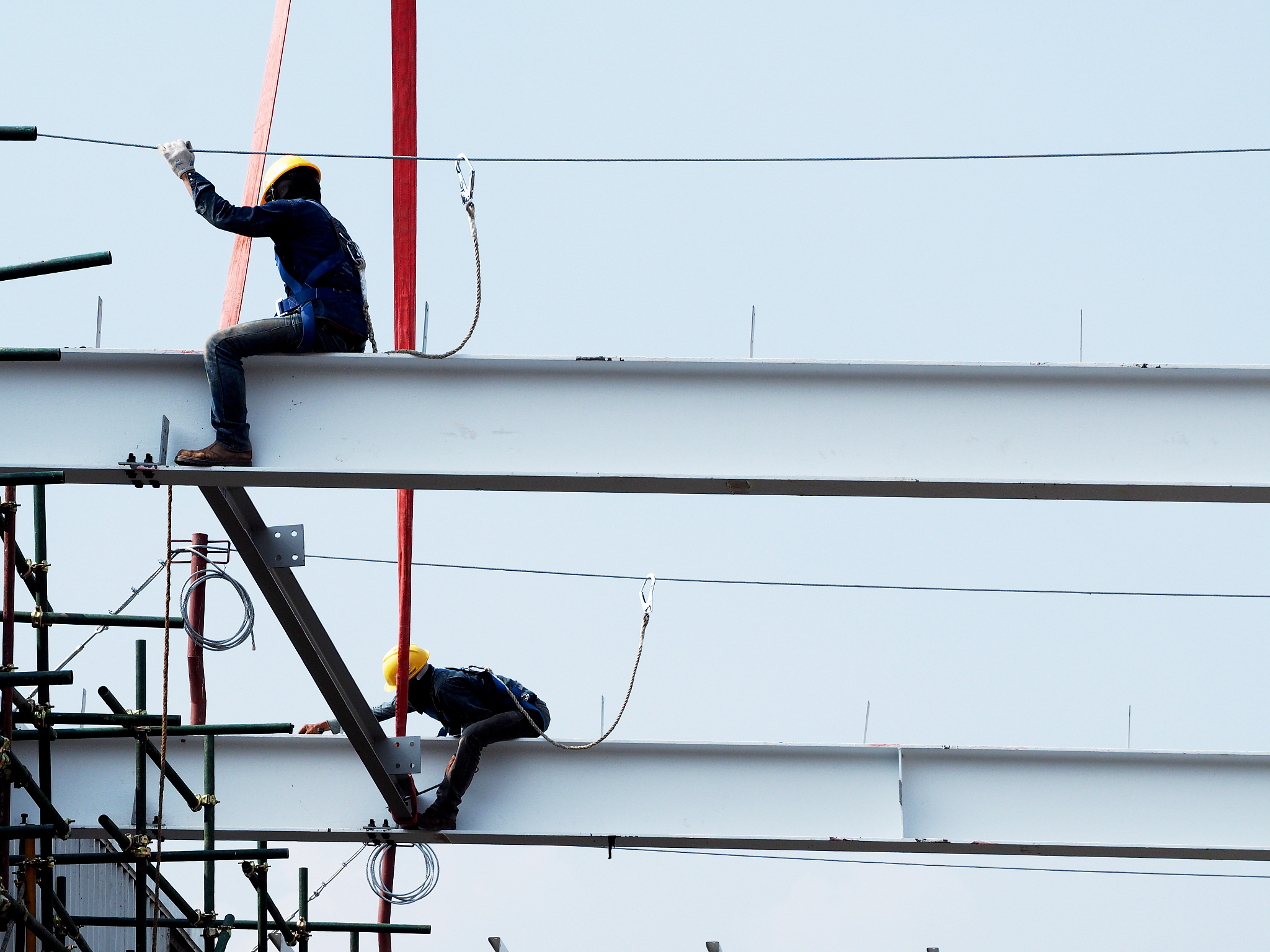 翻译
 safety wires