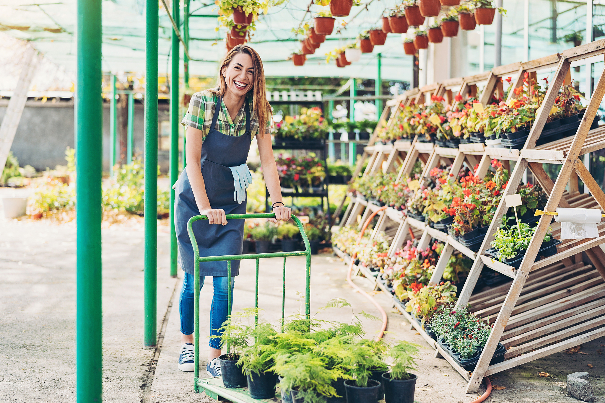 gardener pushing a cart with plant pots