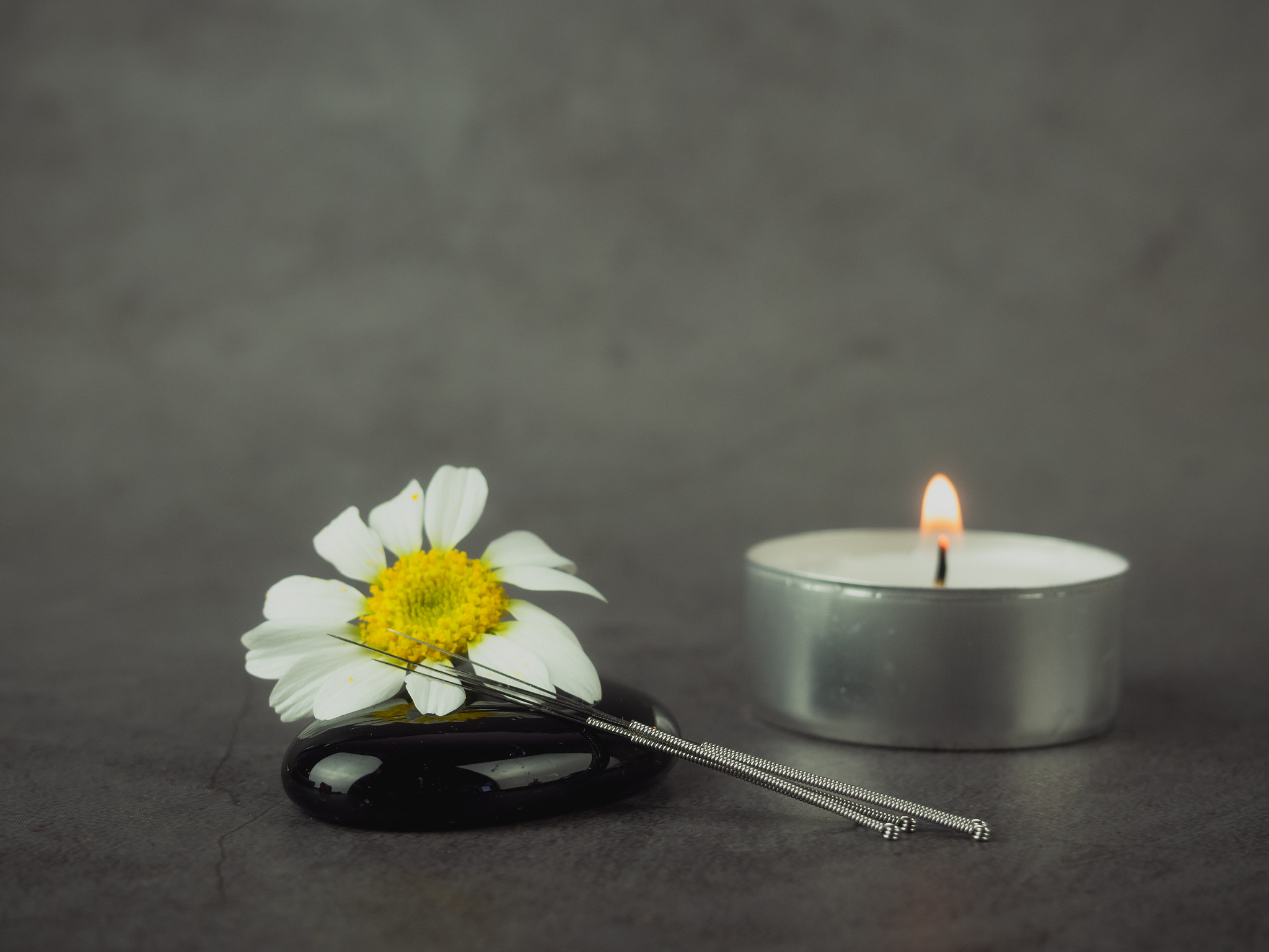 绝望的枪口：一个男人在失去后如何活下去