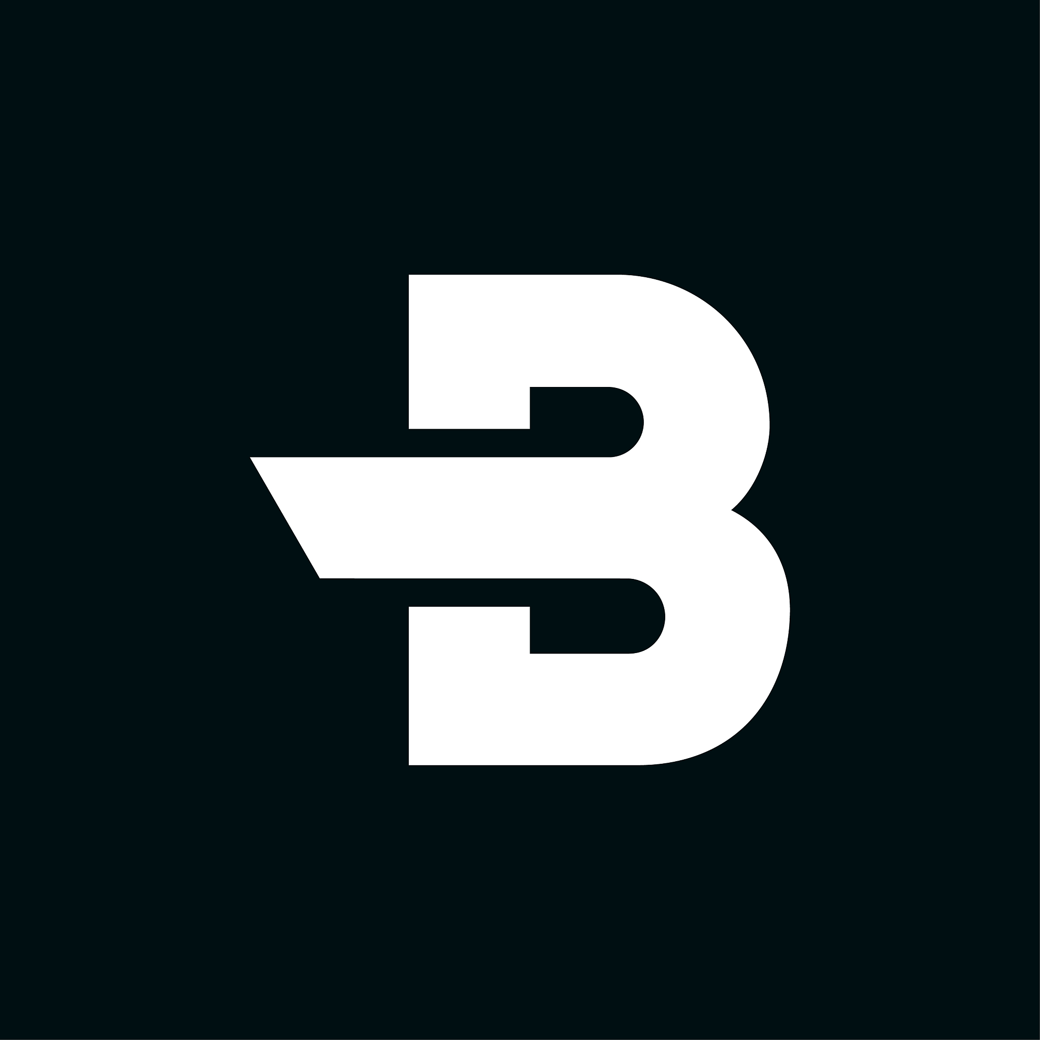 logo letter b wing