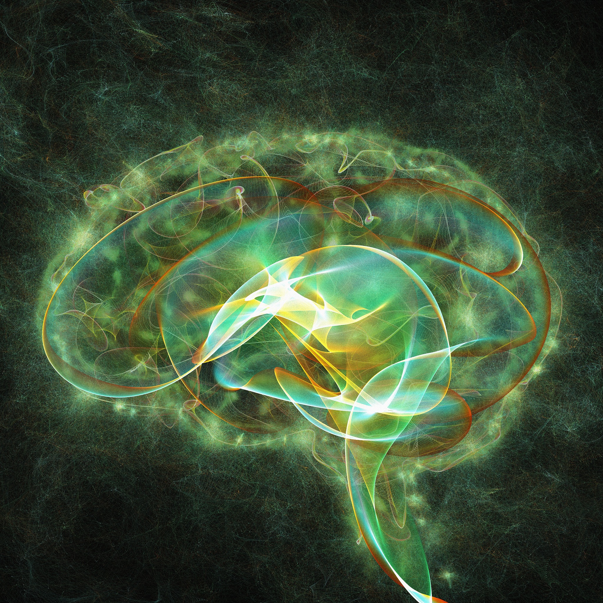 三种敬畏：生命、知识、宇宙